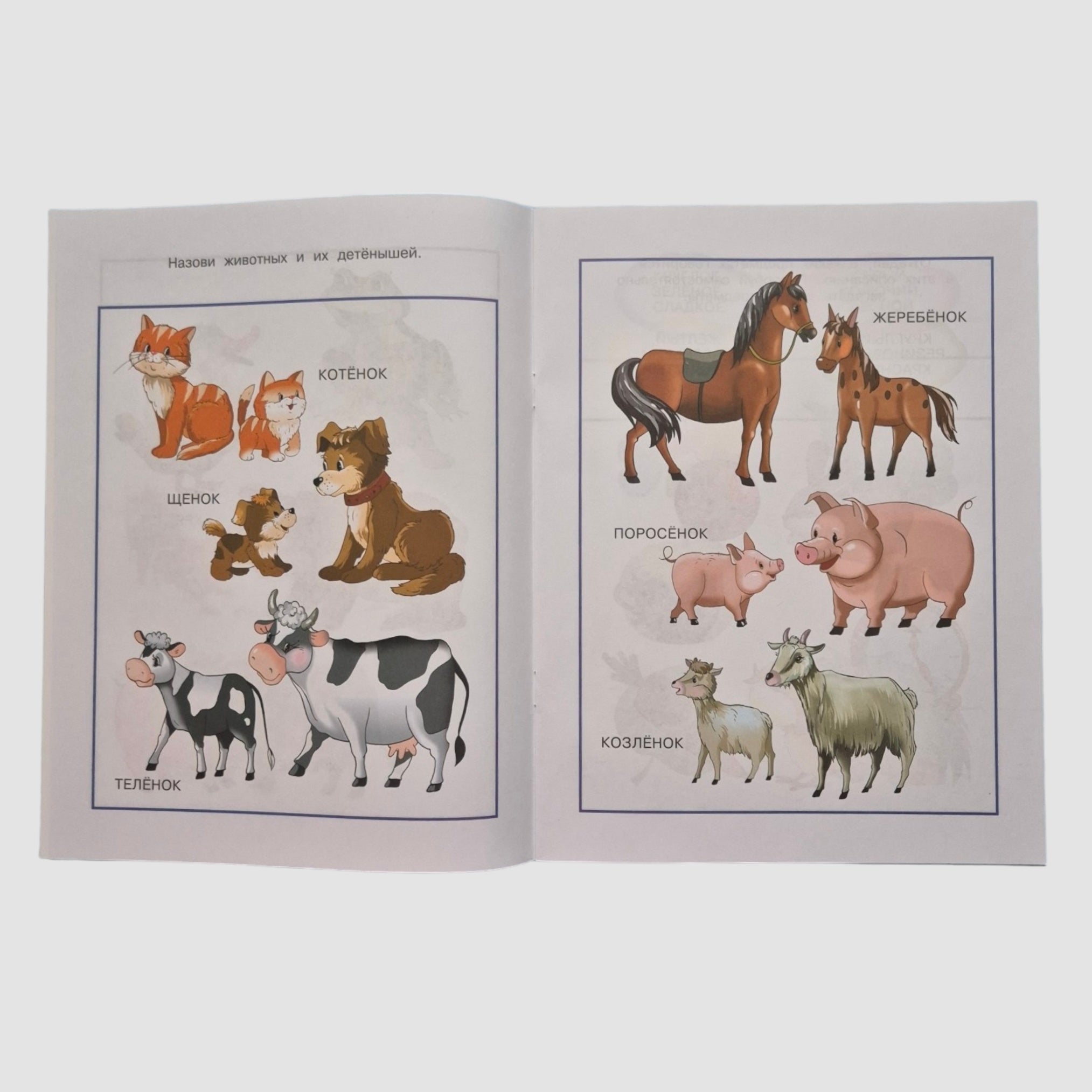 From Word to Story. Developing Speech (2-3 years)