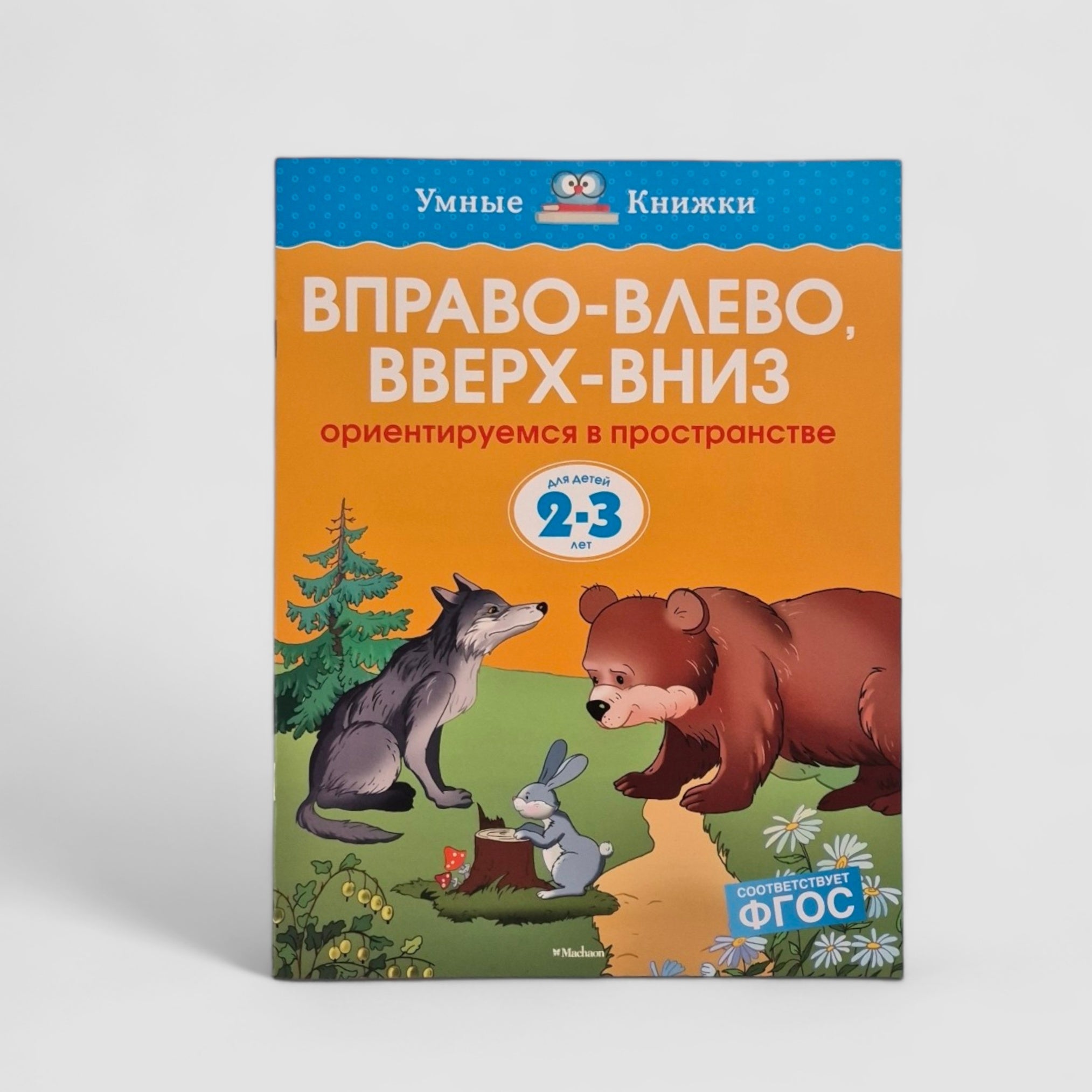 Вправо-влево, вверх-вниз. Ориентируемся в пространстве (2-3 года)