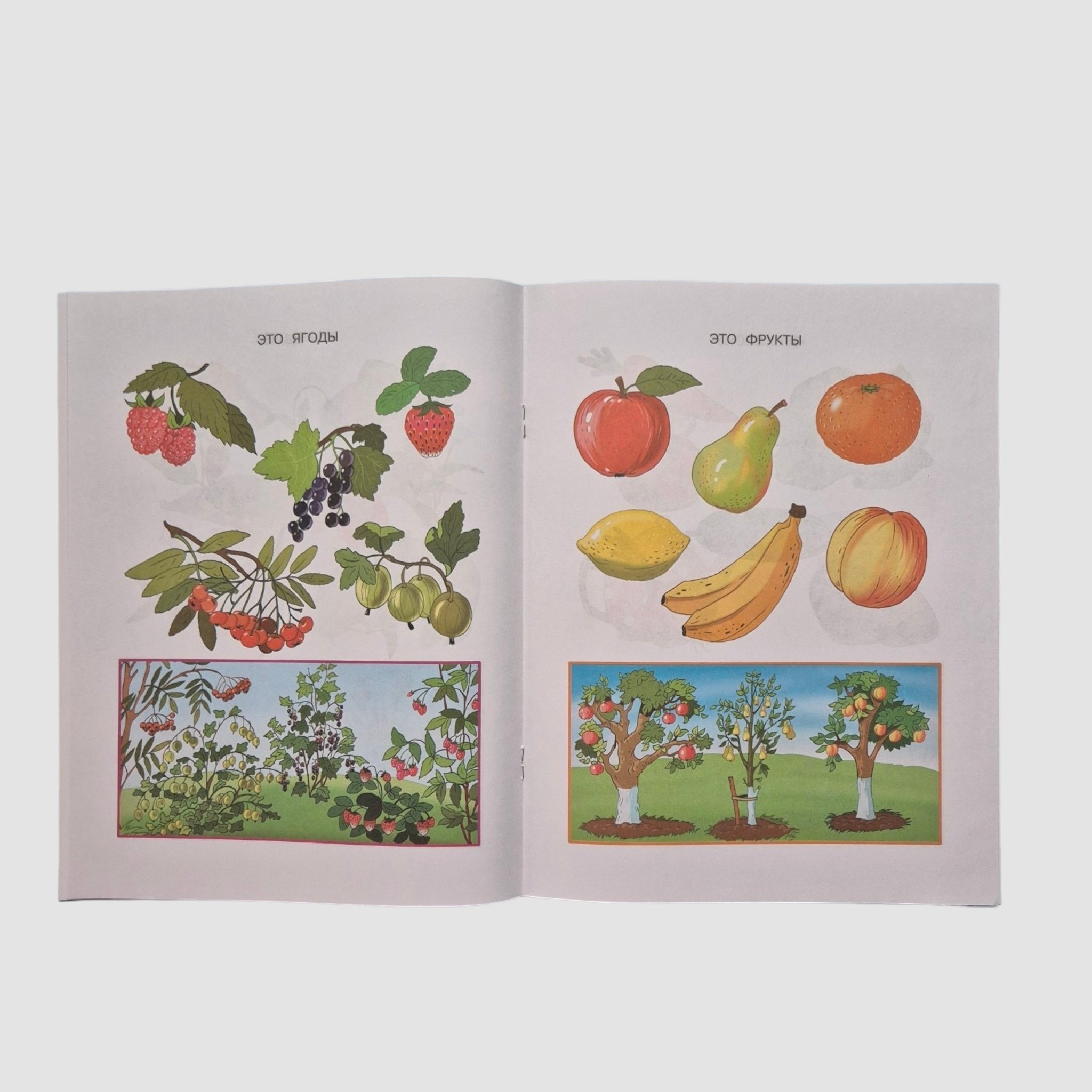 Что нас окружает. Познаем мир (2-3 года)