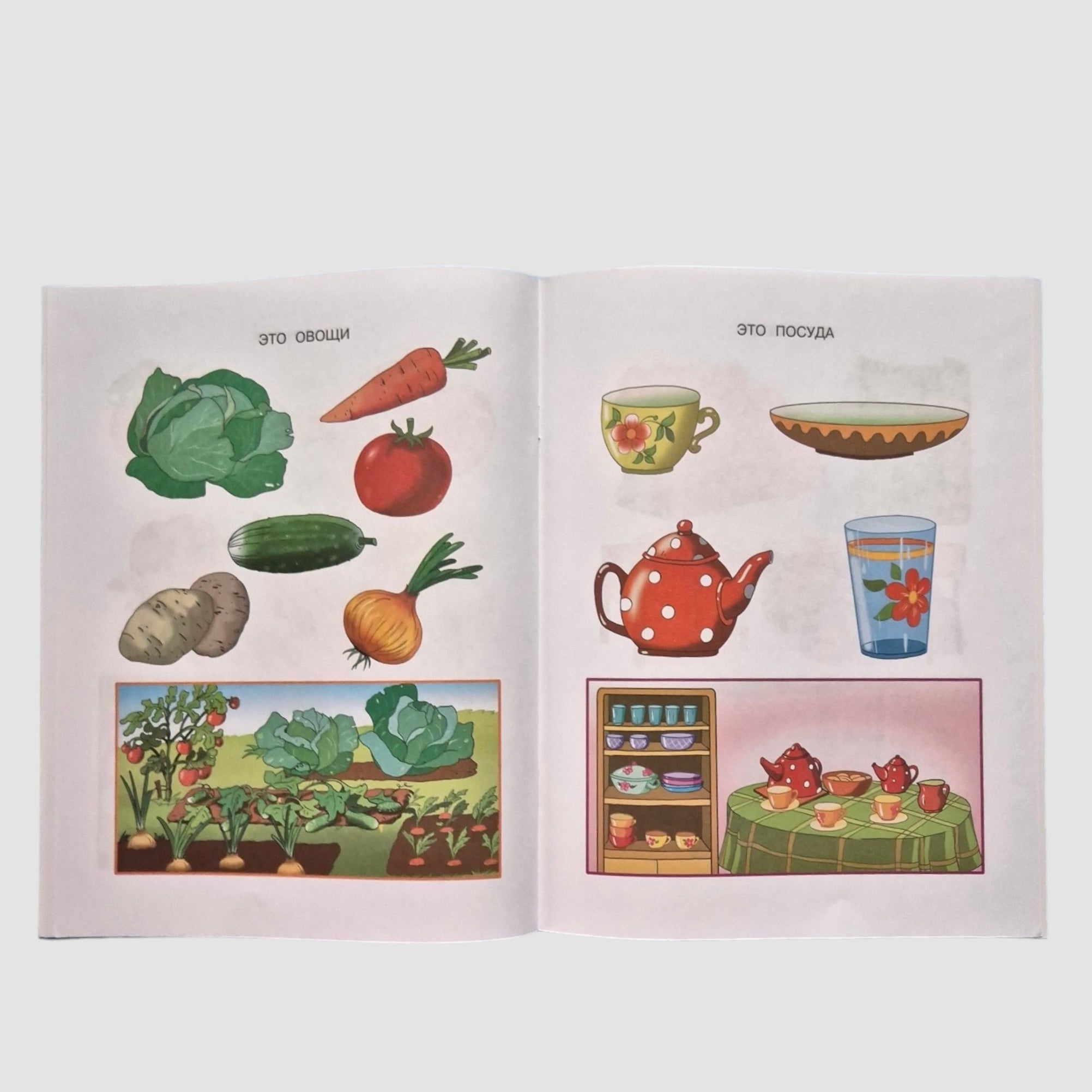 Что нас окружает. Познаем мир (2-3 года)