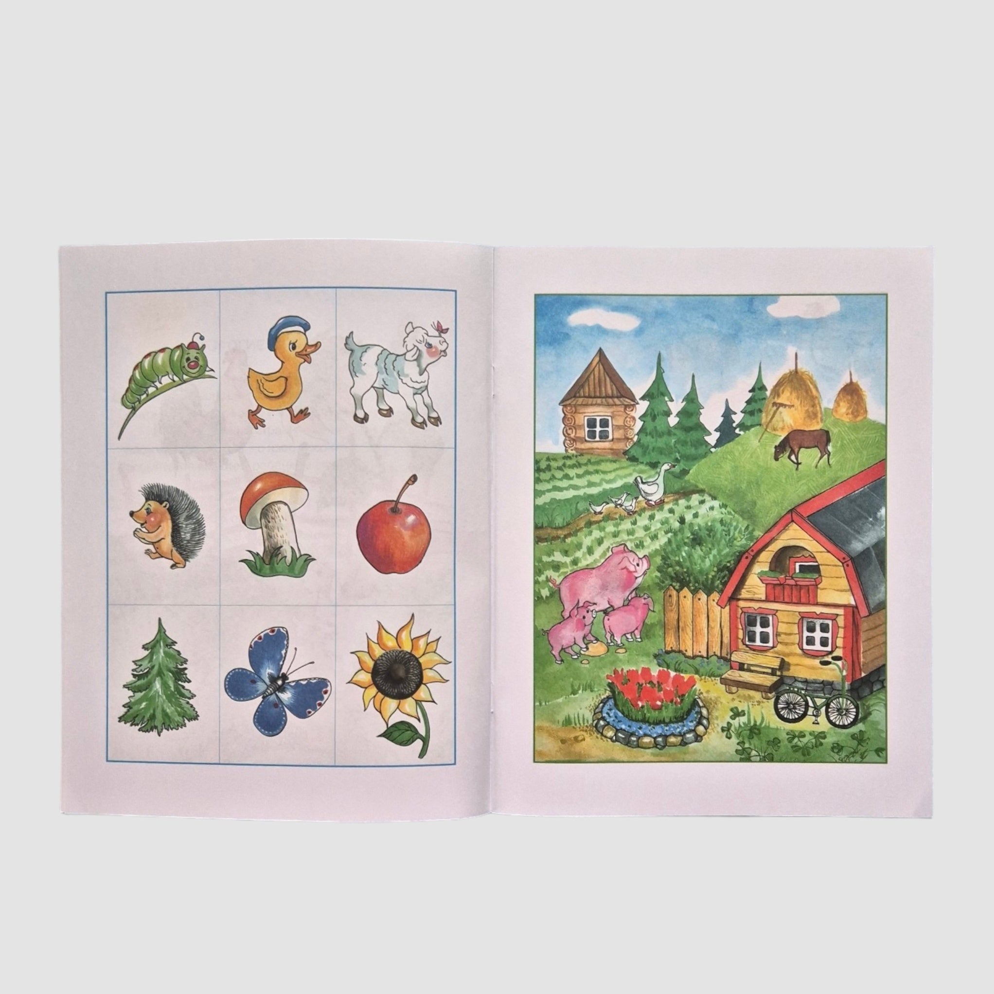 Remember the pictures. Developing memory (4-5 years)