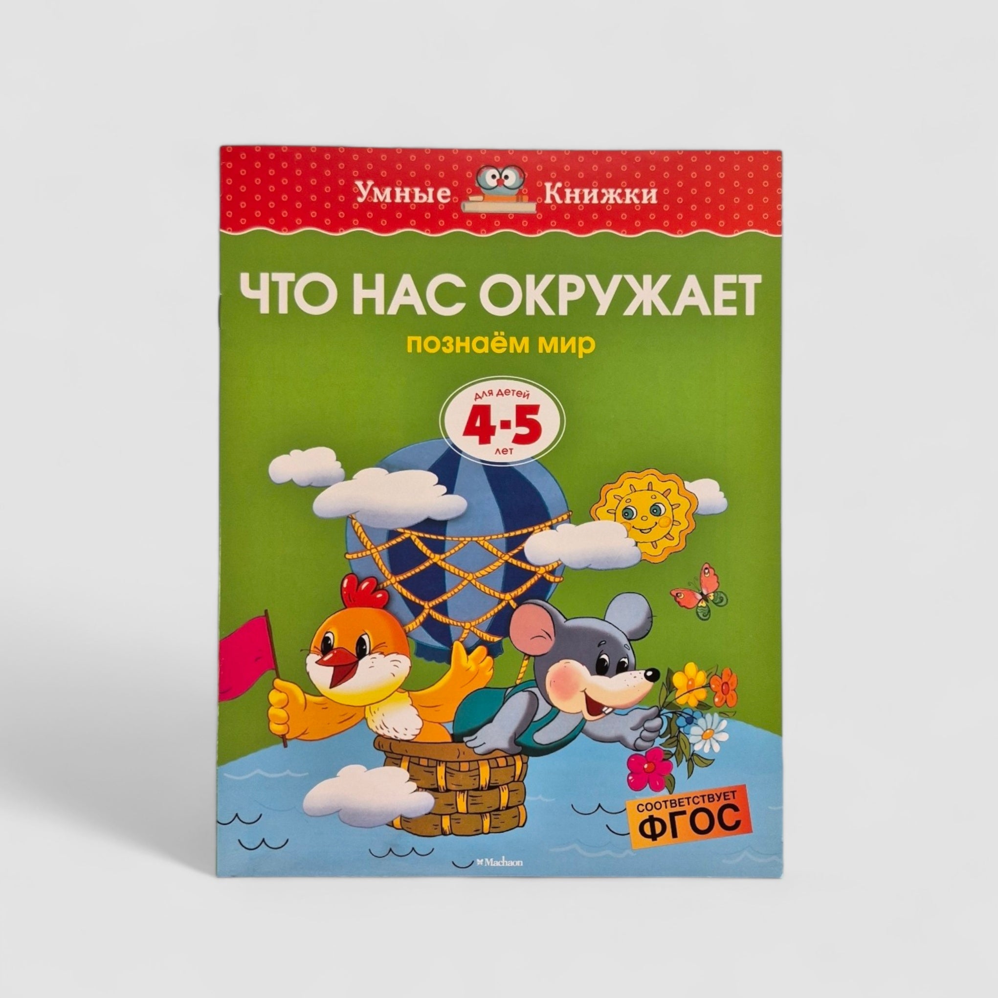 Что нас окружает. Познаем мир (4-5 лет)