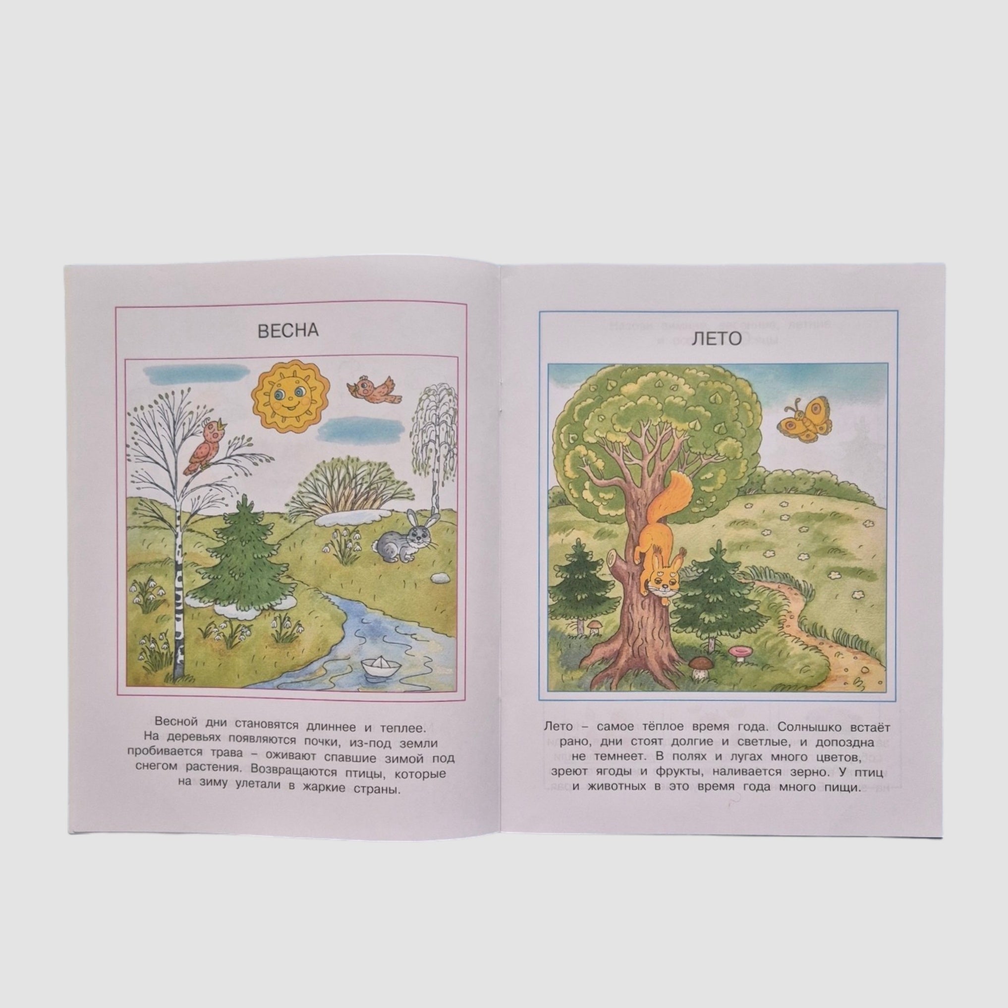 Что нас окружает. Познаем мир (4-5 лет)