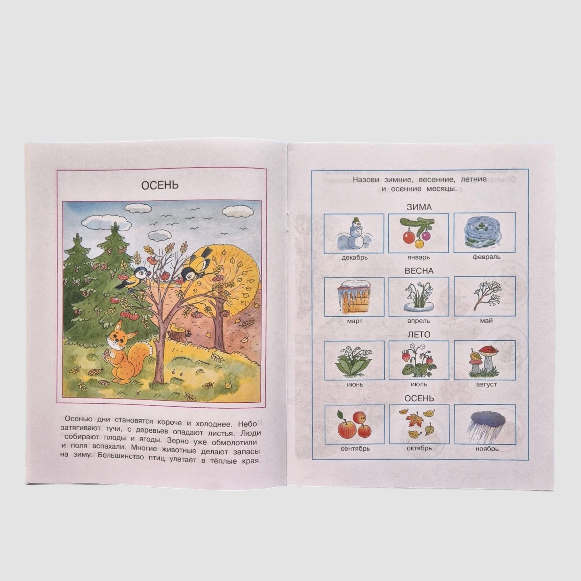 Что нас окружает. Познаем мир (4-5 лет)