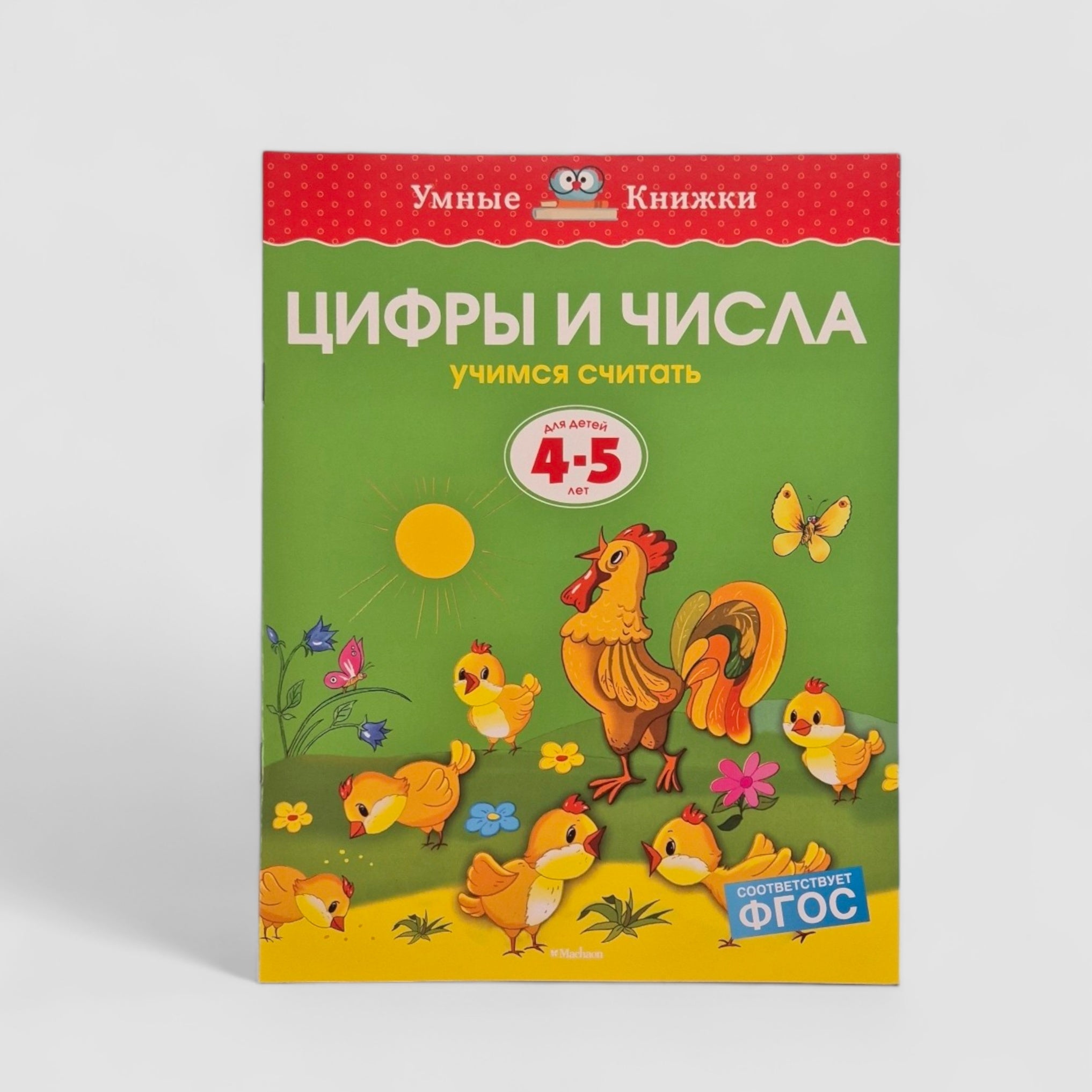 Цифры и числа. Учимся считать (4-5 лет)
