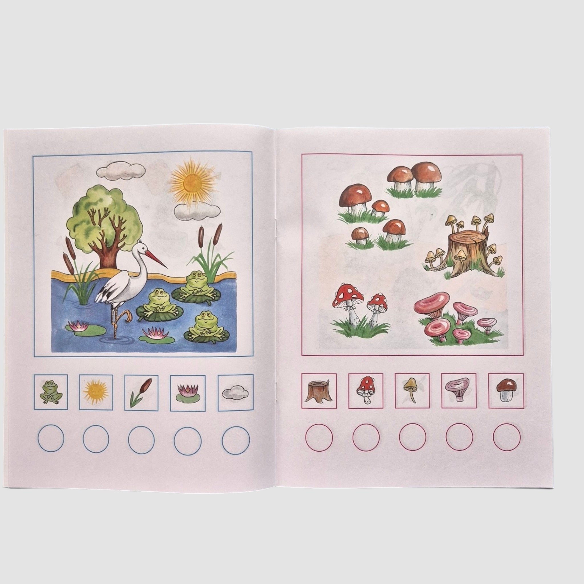 Цифры и числа. Учимся считать (4-5 лет)