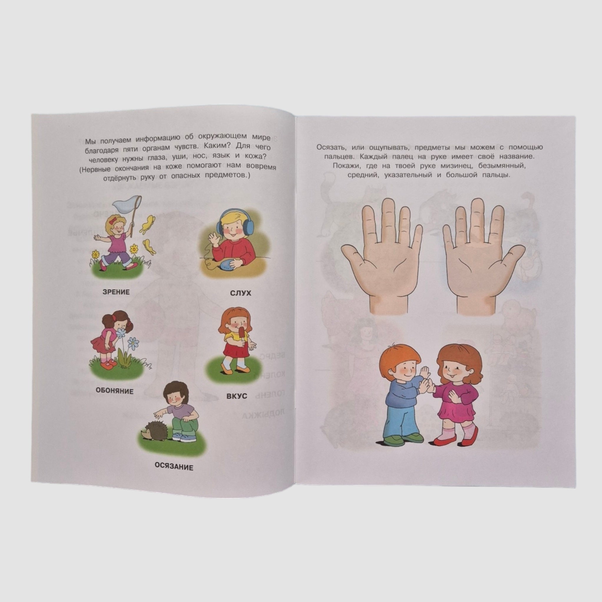 Знакомимся с природой (4-5 лет)