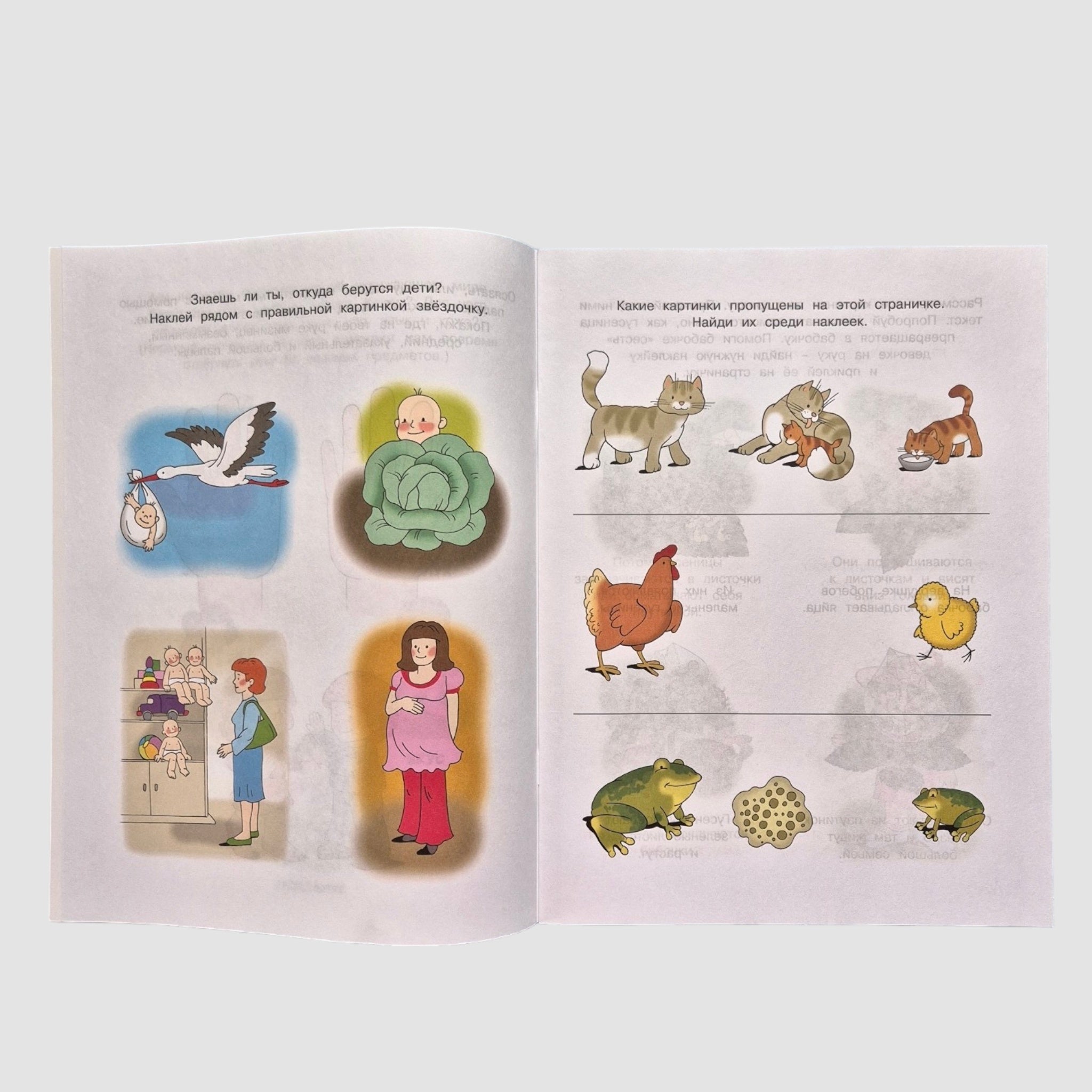 Знакомимся с природой (4-5 лет)