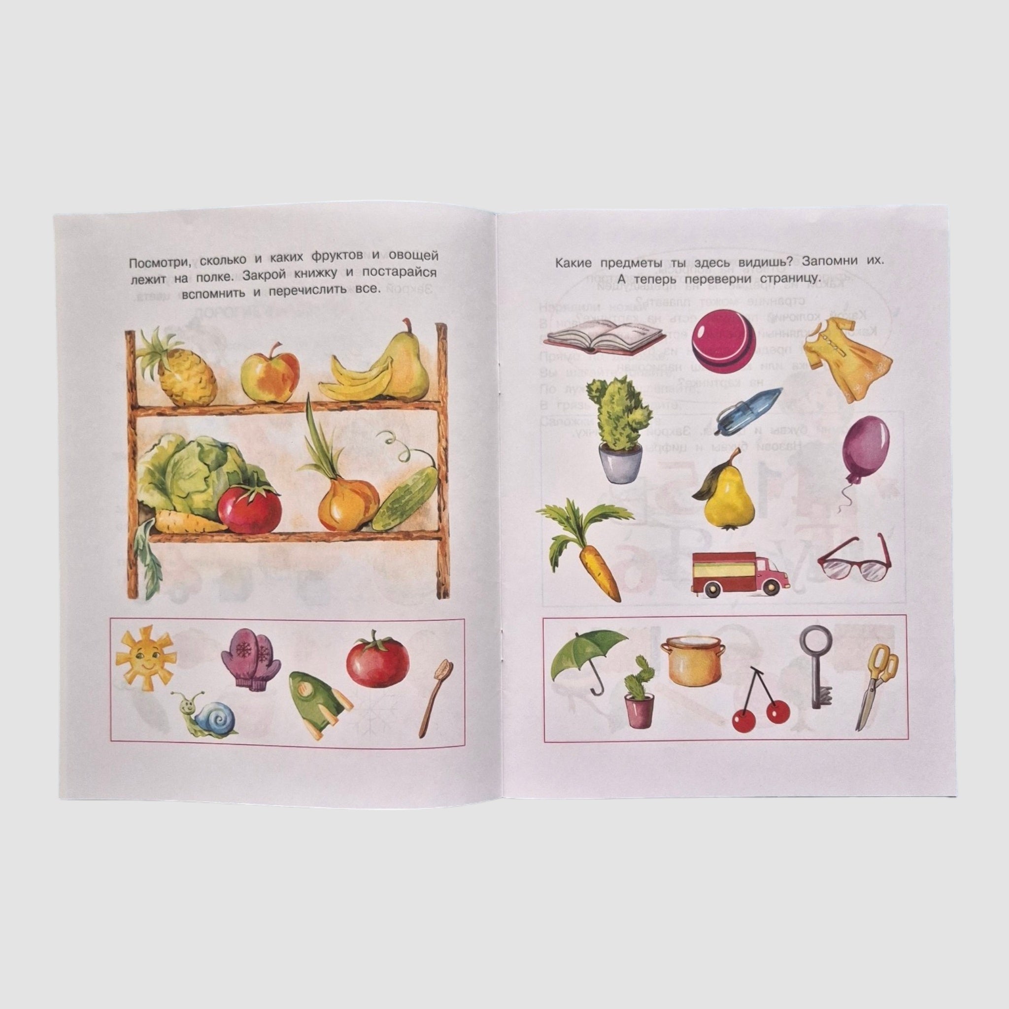 Запомни картинки. Развиваем память (5-6 лет)