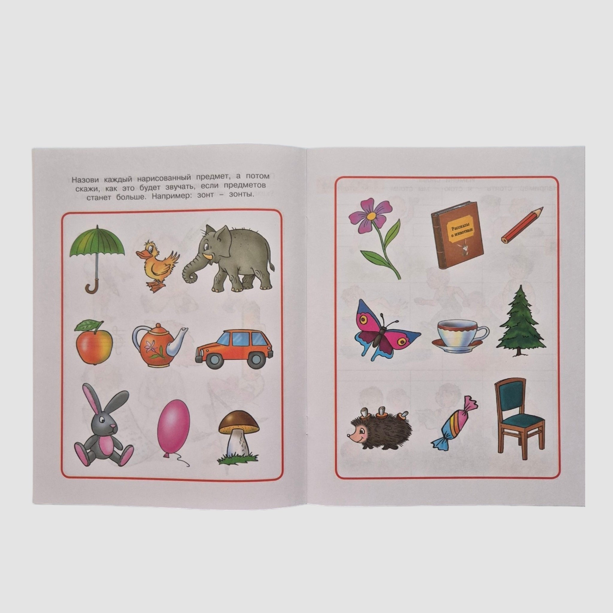 From Word to Story. Developing Speech (5-6 years)