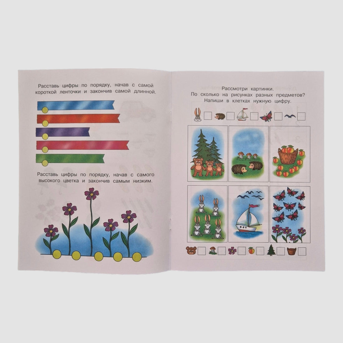 Numbers and figures (5-6 years)