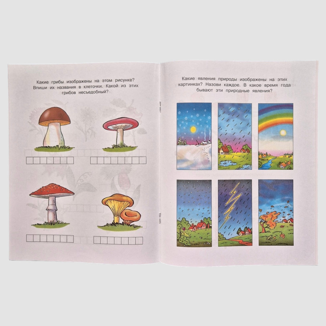 What Surrounds Us. Learning About the World (5-6 years)