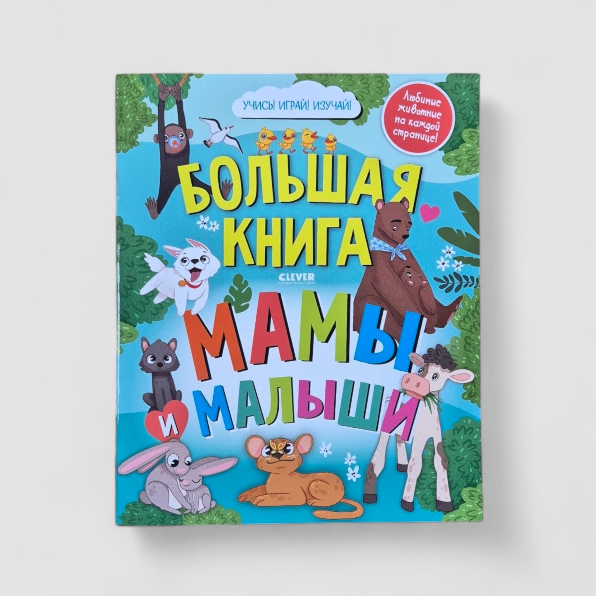 The Big Book. Moms and Babies