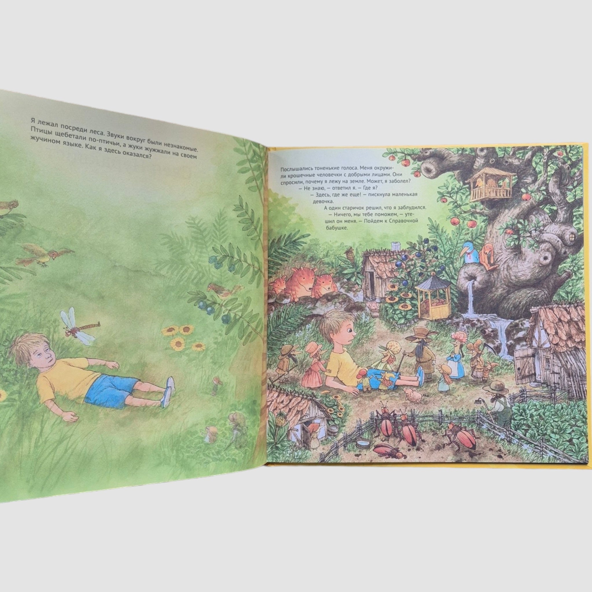 Дорога домой