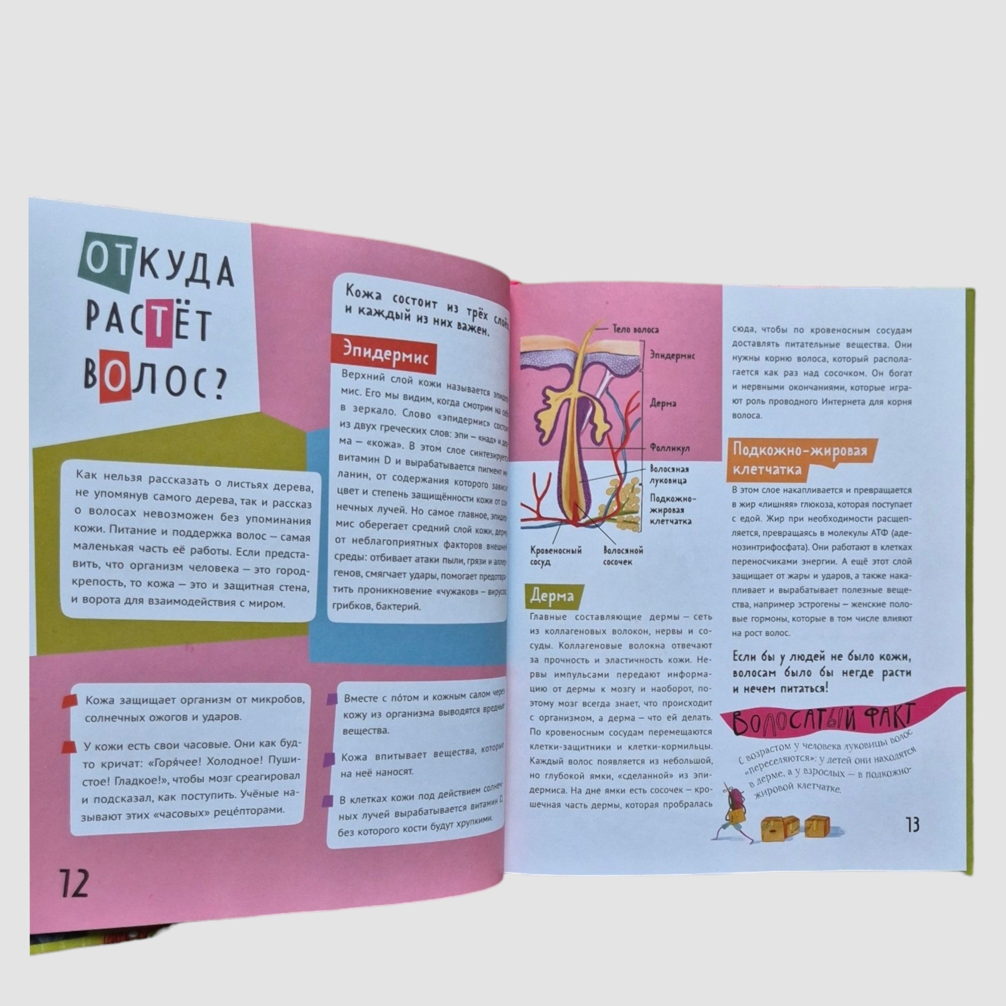 Волосатая энциклопедия