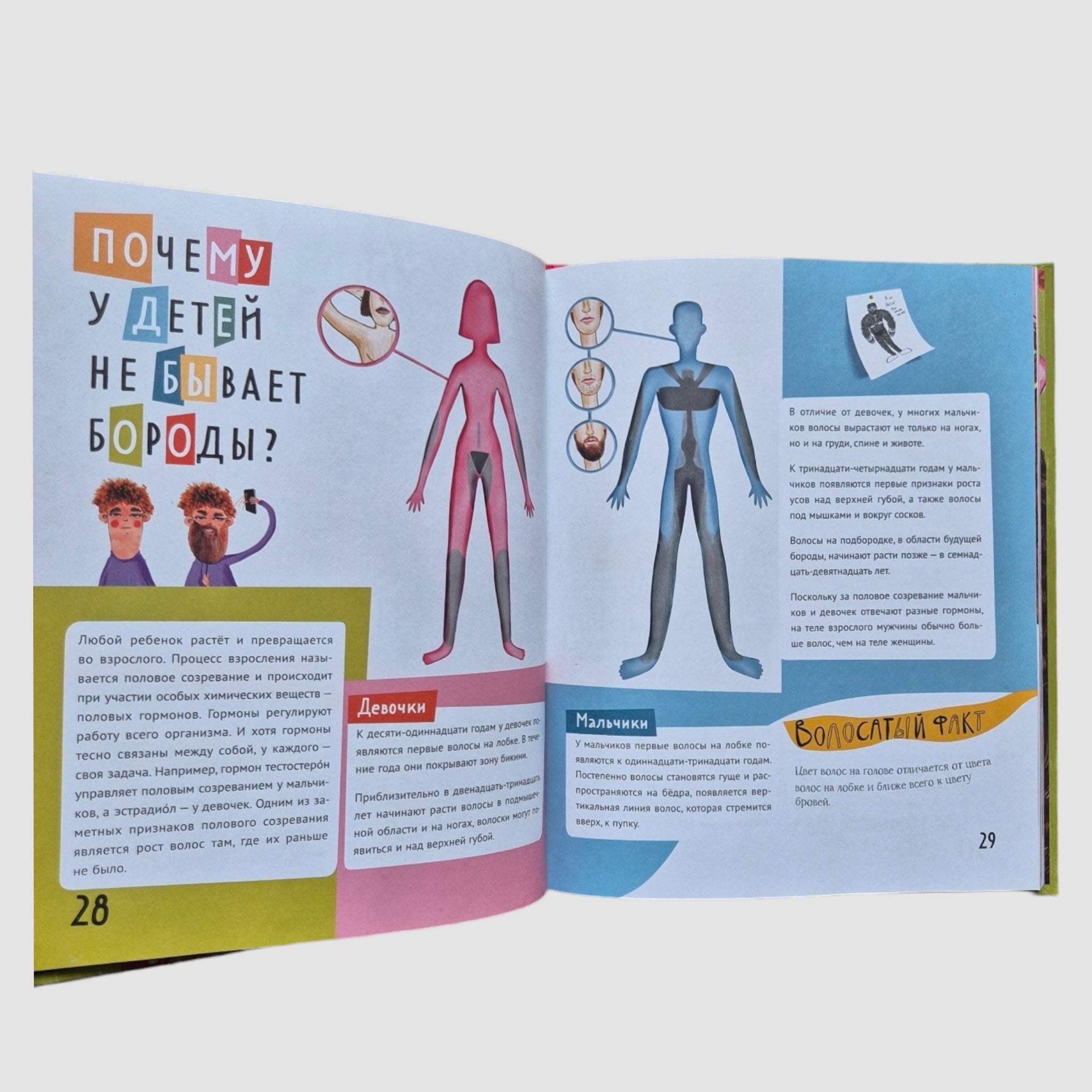 Волосатая энциклопедия