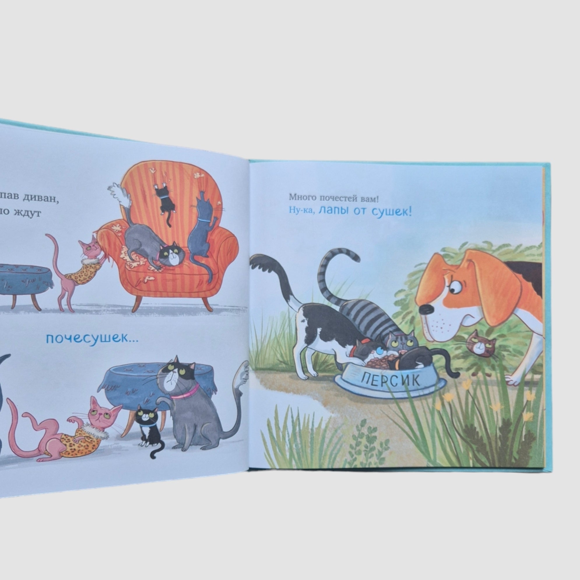 Слишком много котов