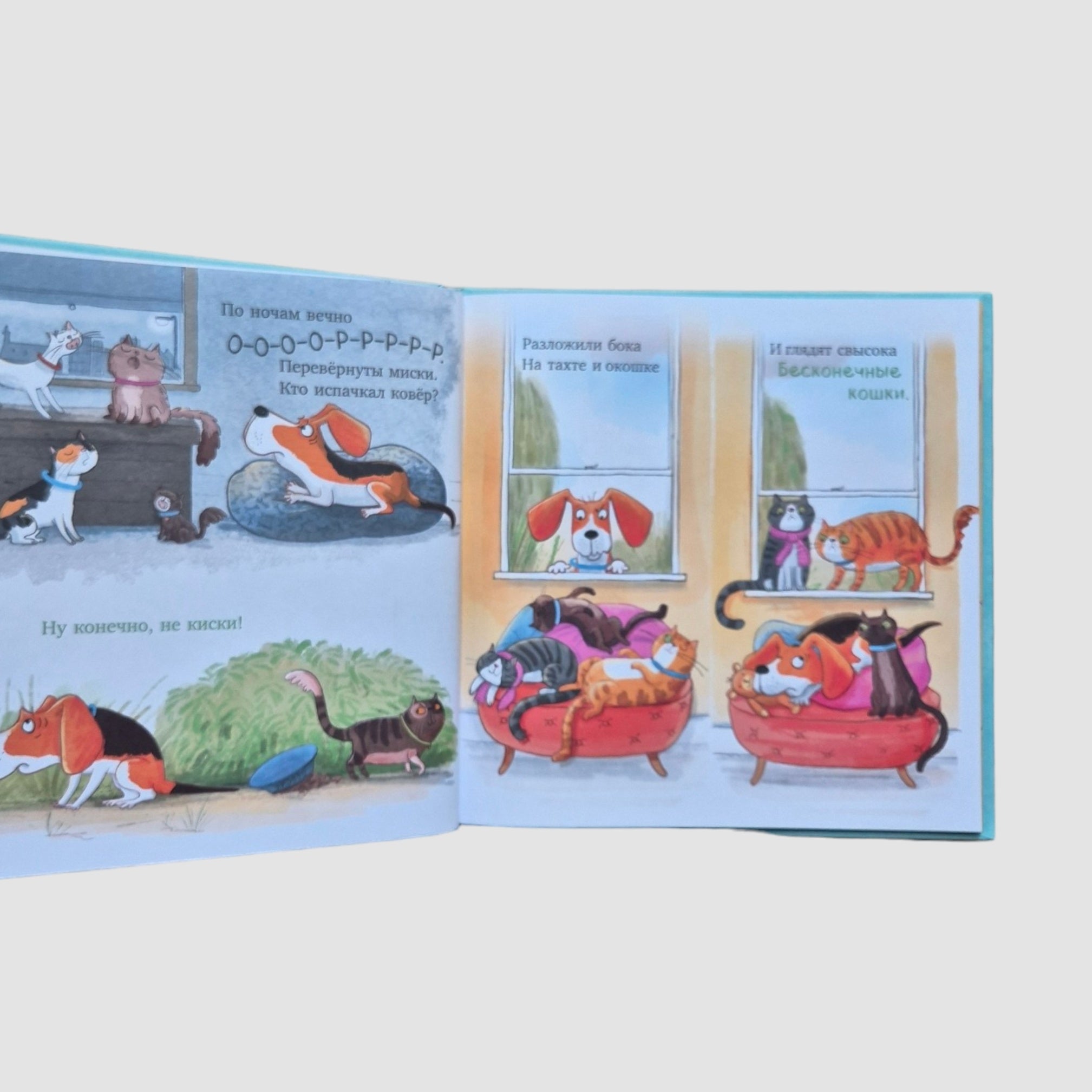 Слишком много котов