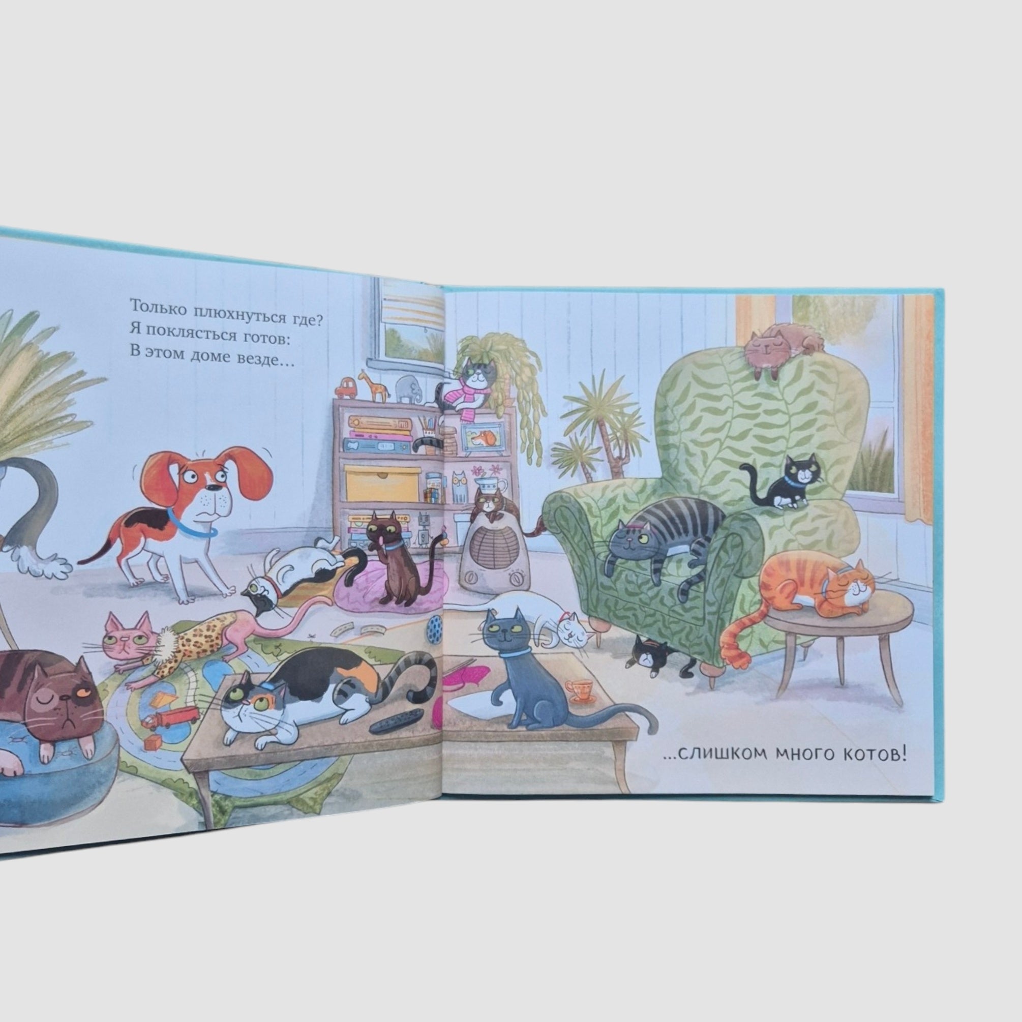 Слишком много котов