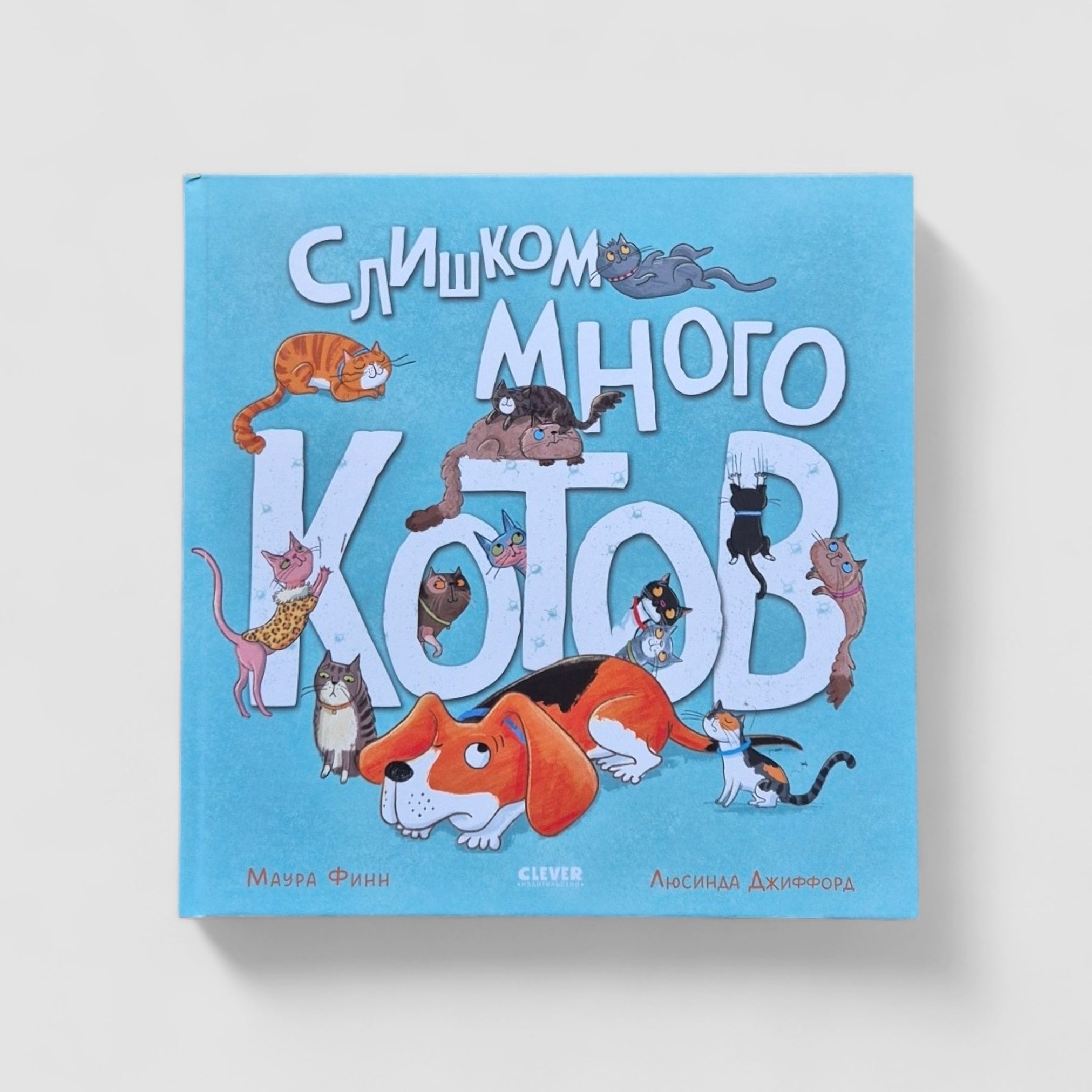 Слишком много котов