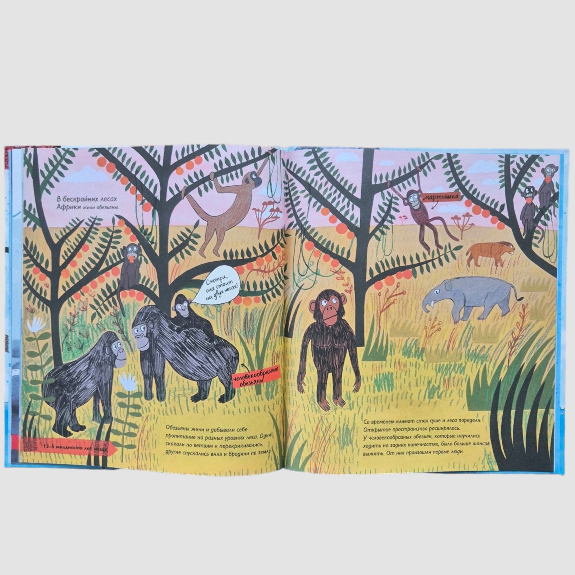 История жизни. Моя первая книга об эволюции