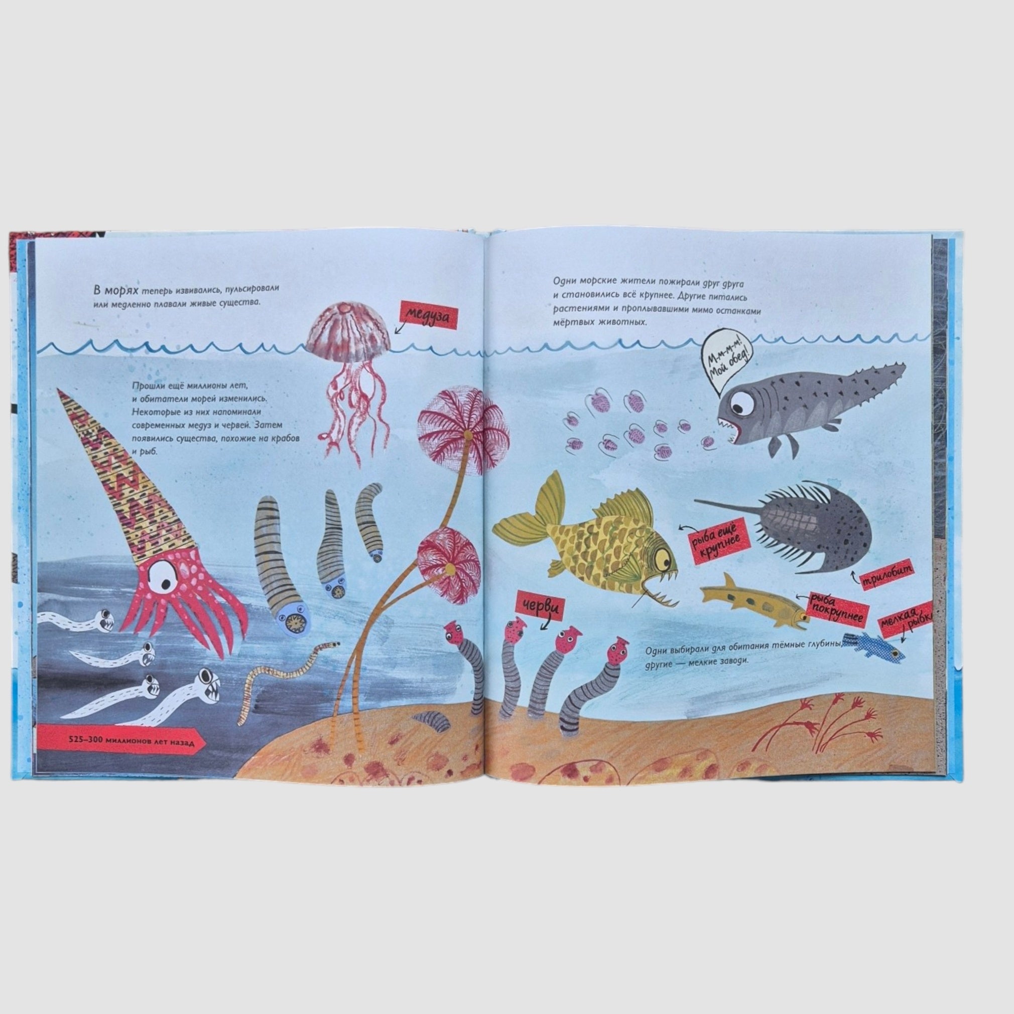 История жизни. Моя первая книга об эволюции