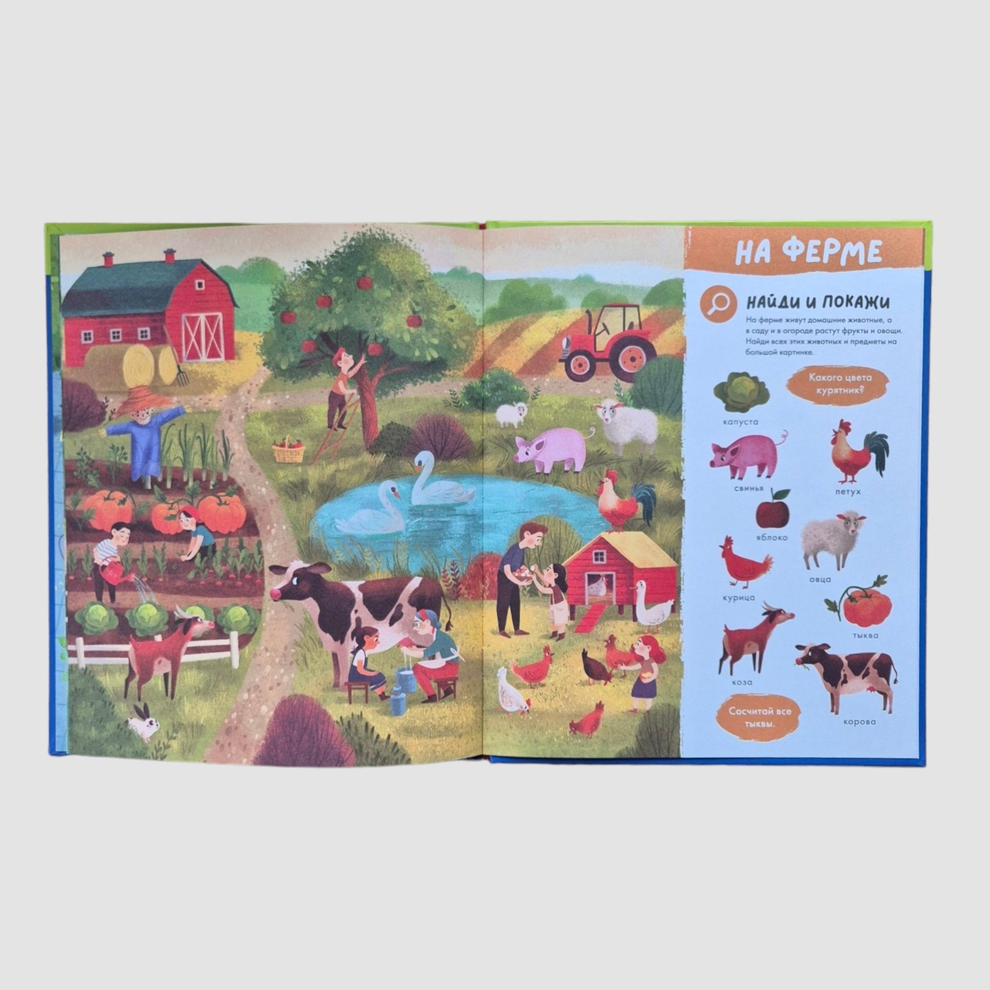 Большая книга первых слов. Найди и покажи