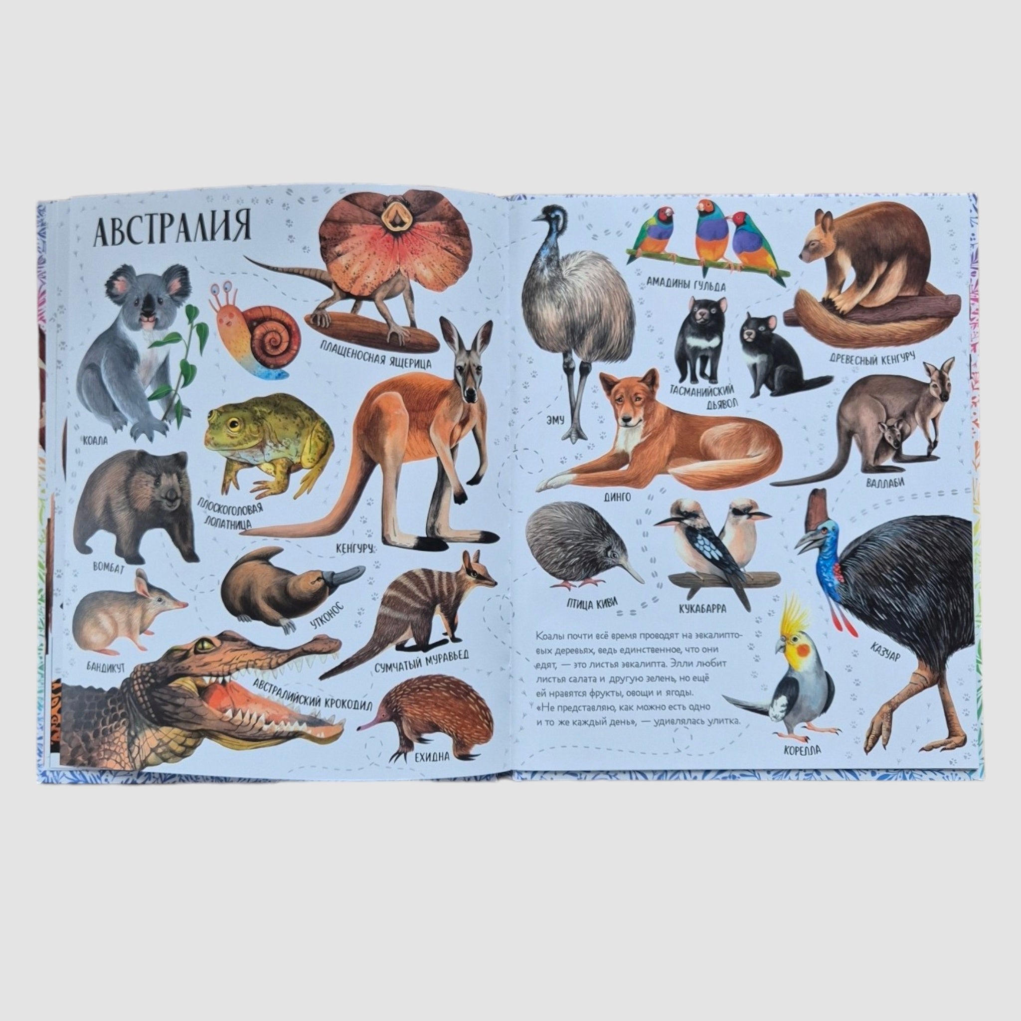 Приключения улитки Элли в мире животных