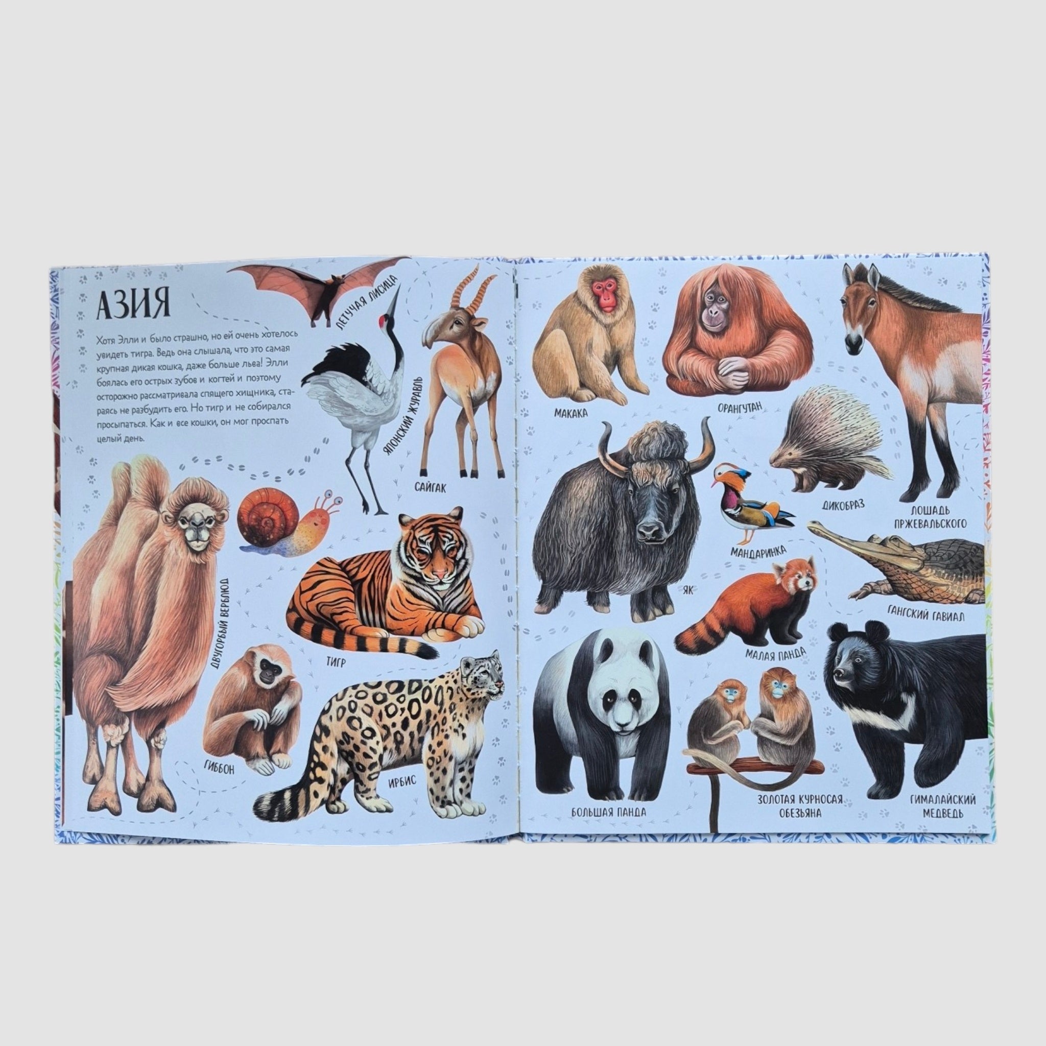 Приключения улитки Элли в мире животных