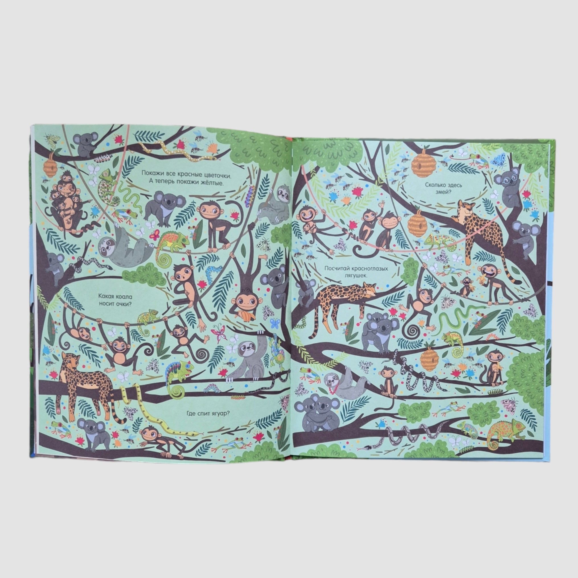 Big Book. Animals. Find and Show