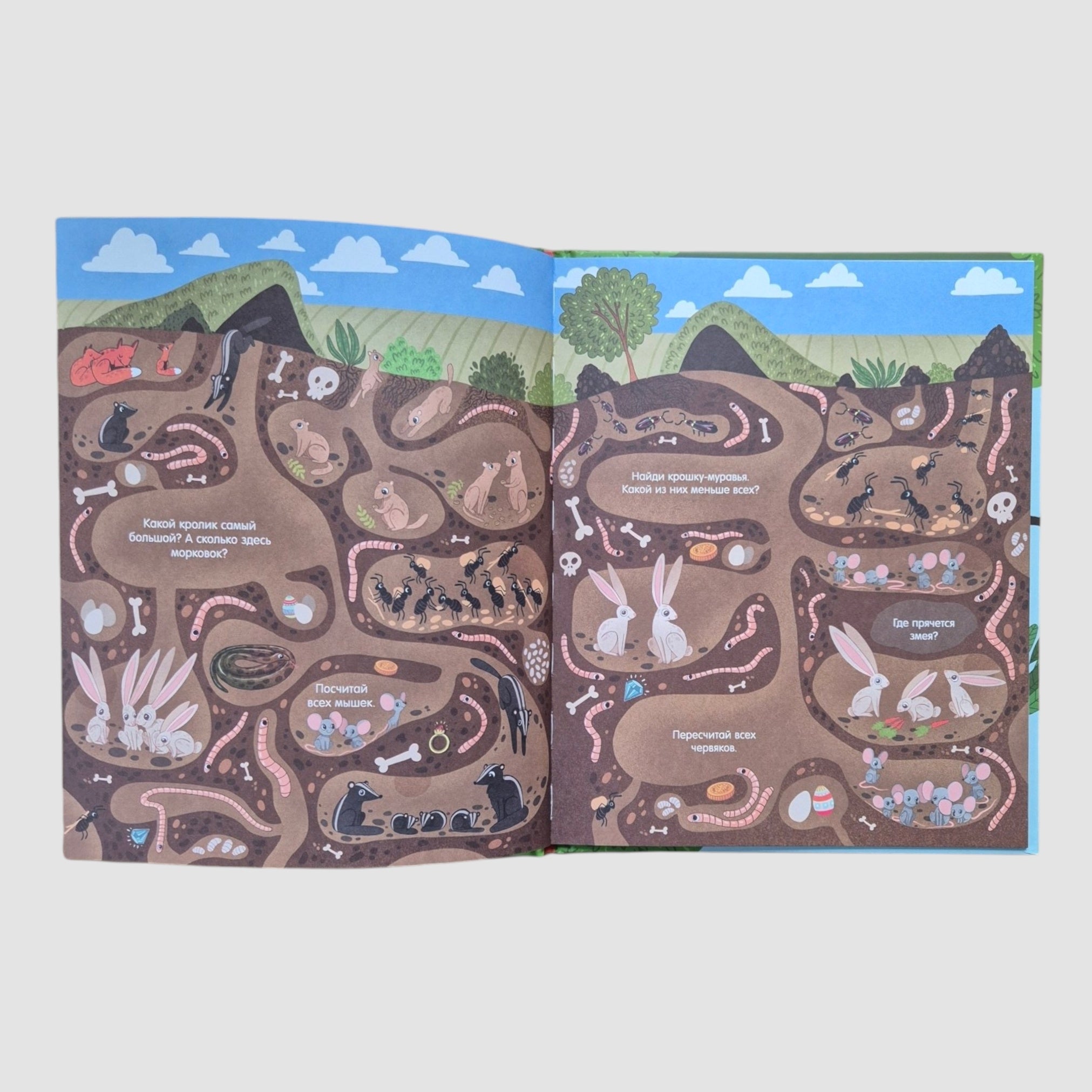 Big Book. Animals. Find and Show