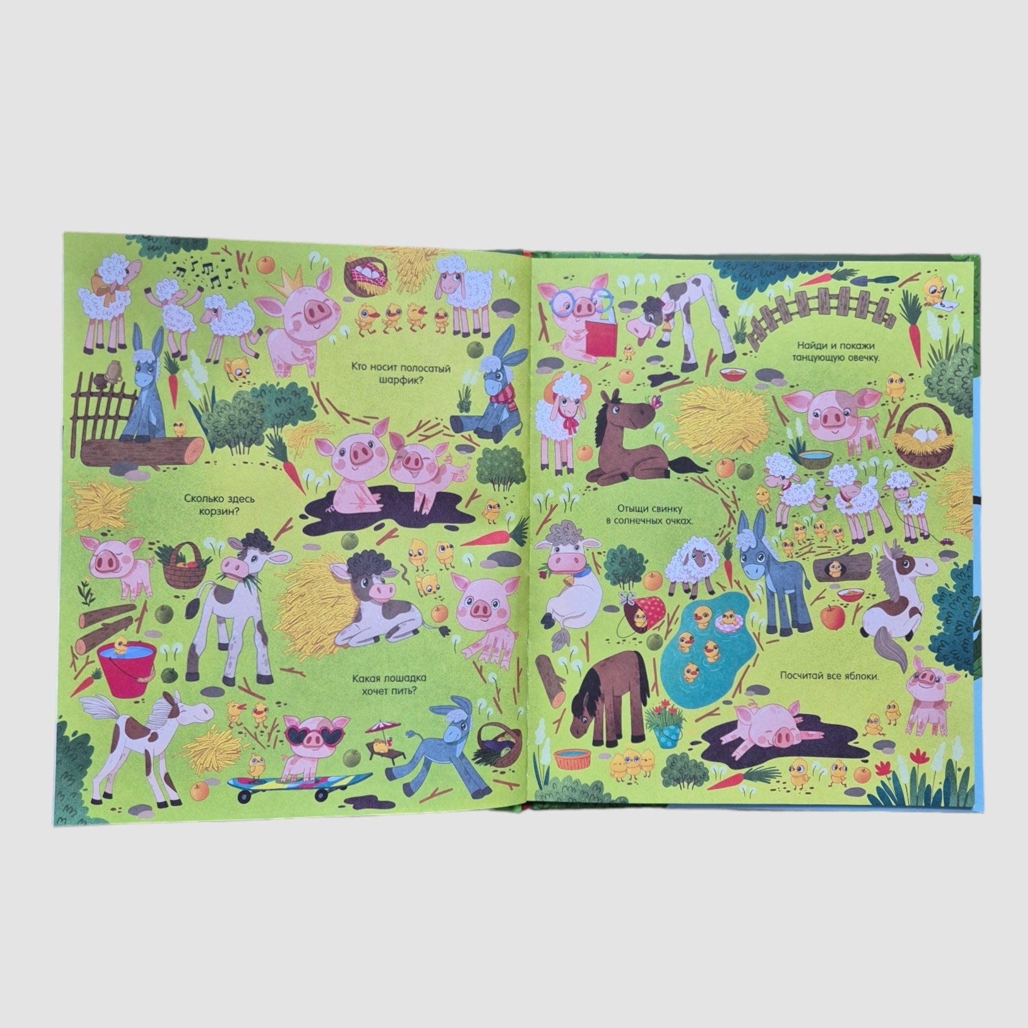 Big Book. Animals. Find and Show