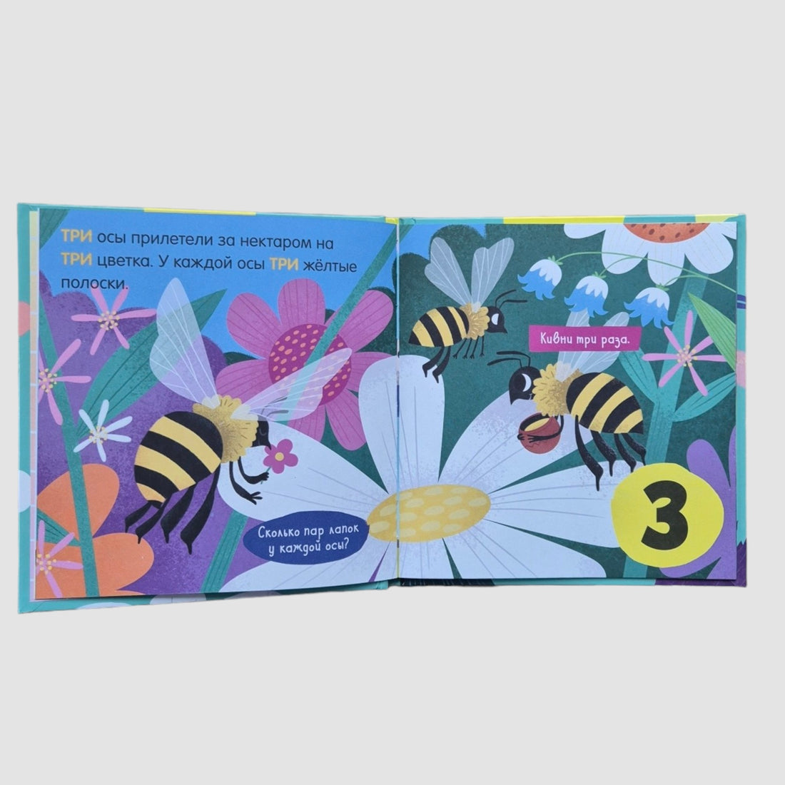 Цифры. Найди и покажи, малыш