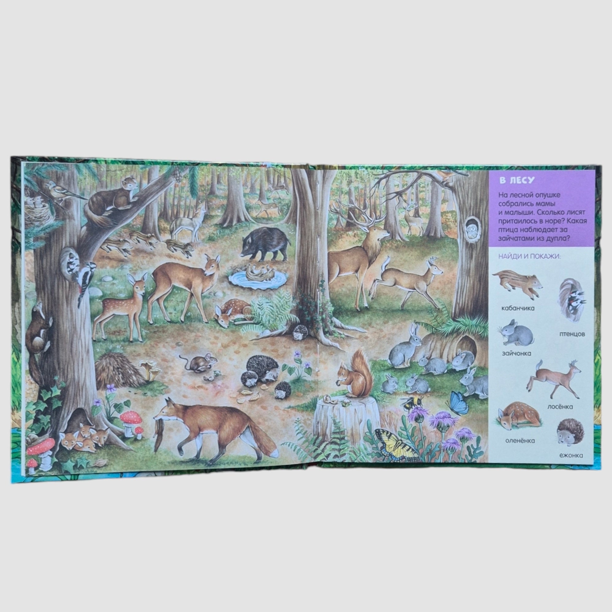 В мире животных. Найди и покажи, малыш