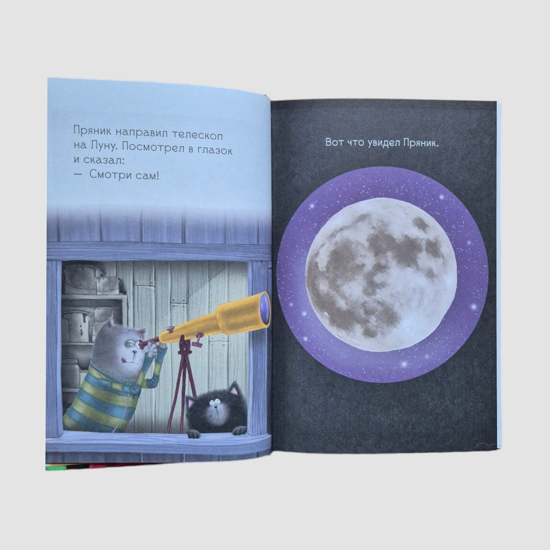 Котенок Шмяк и Сырник. Большая книга приключений