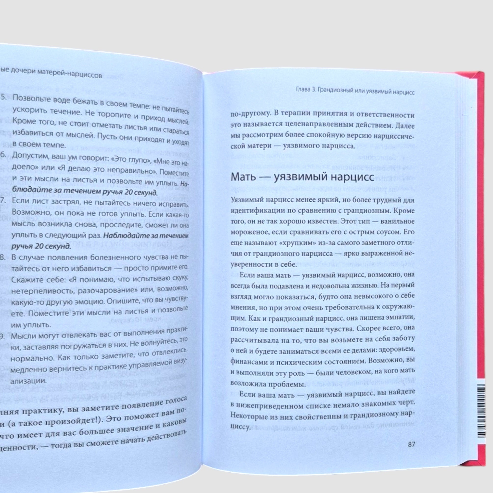 Adult Daughters of Narcissistic Mothers: Breaking Free from Toxic Influence and Living Your Own Life