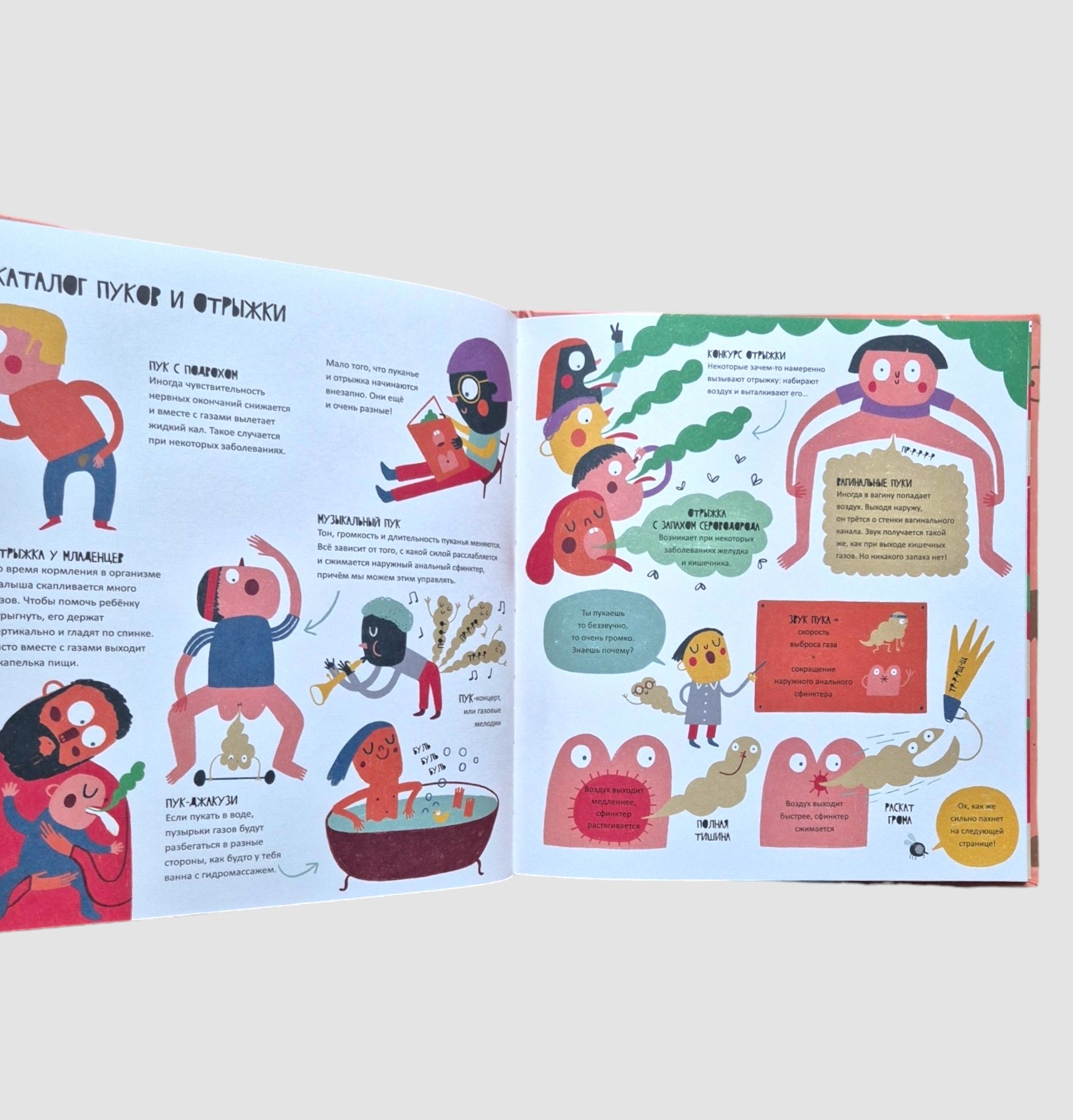 Тайная жизнь пуков и отрыжки