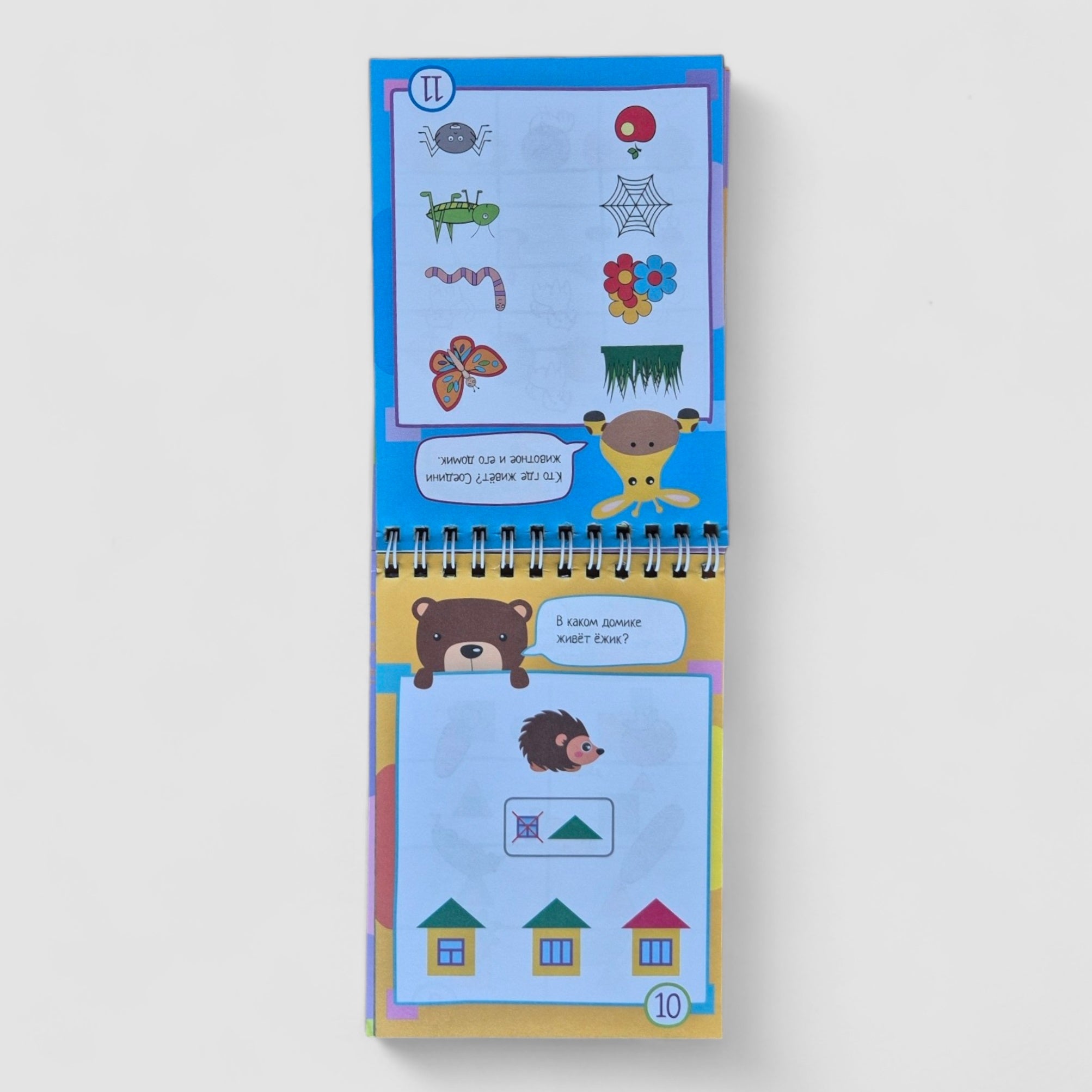 IQ Notepad (3+). 80 tasks for the smartest