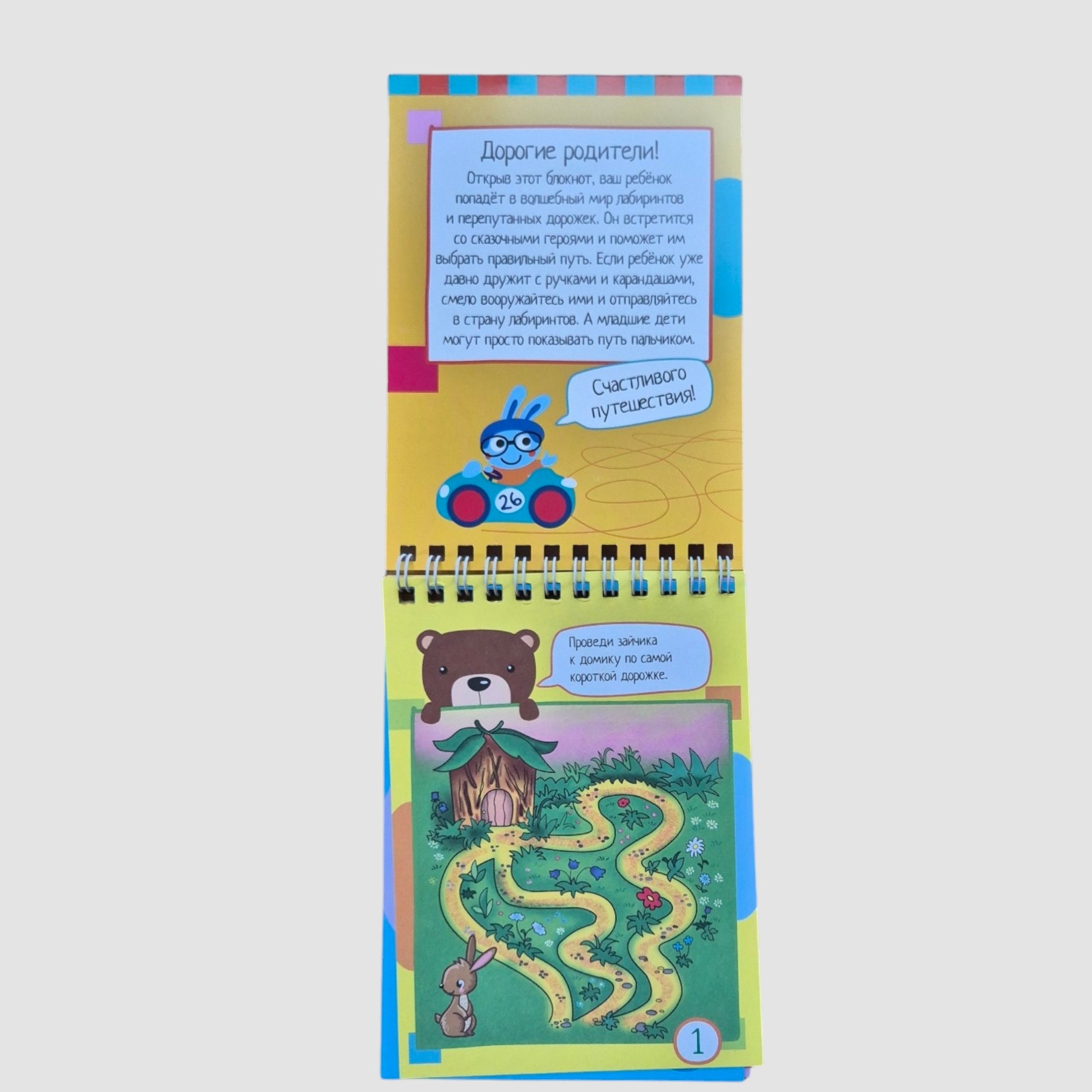 IQ блокнот (4+). 80 лабиринтов для малышей