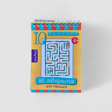 IQ блокнот (4+). 80 лабиринтов для малышей