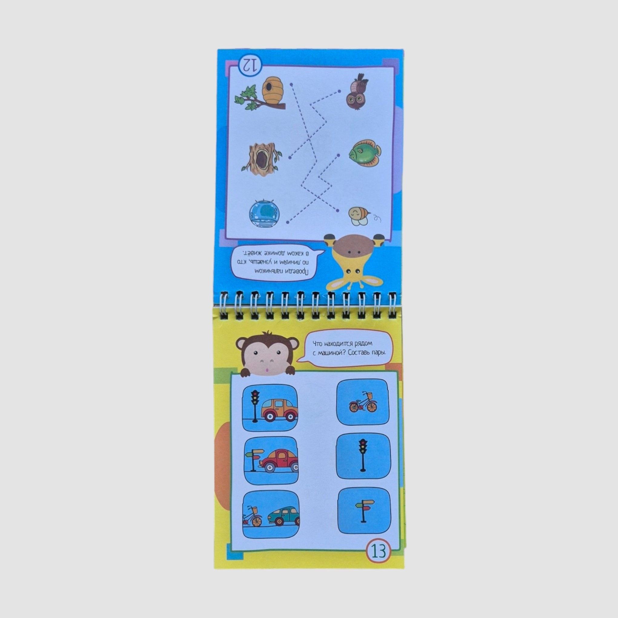 IQ блокнот (4+). 80 задачек на смекалку