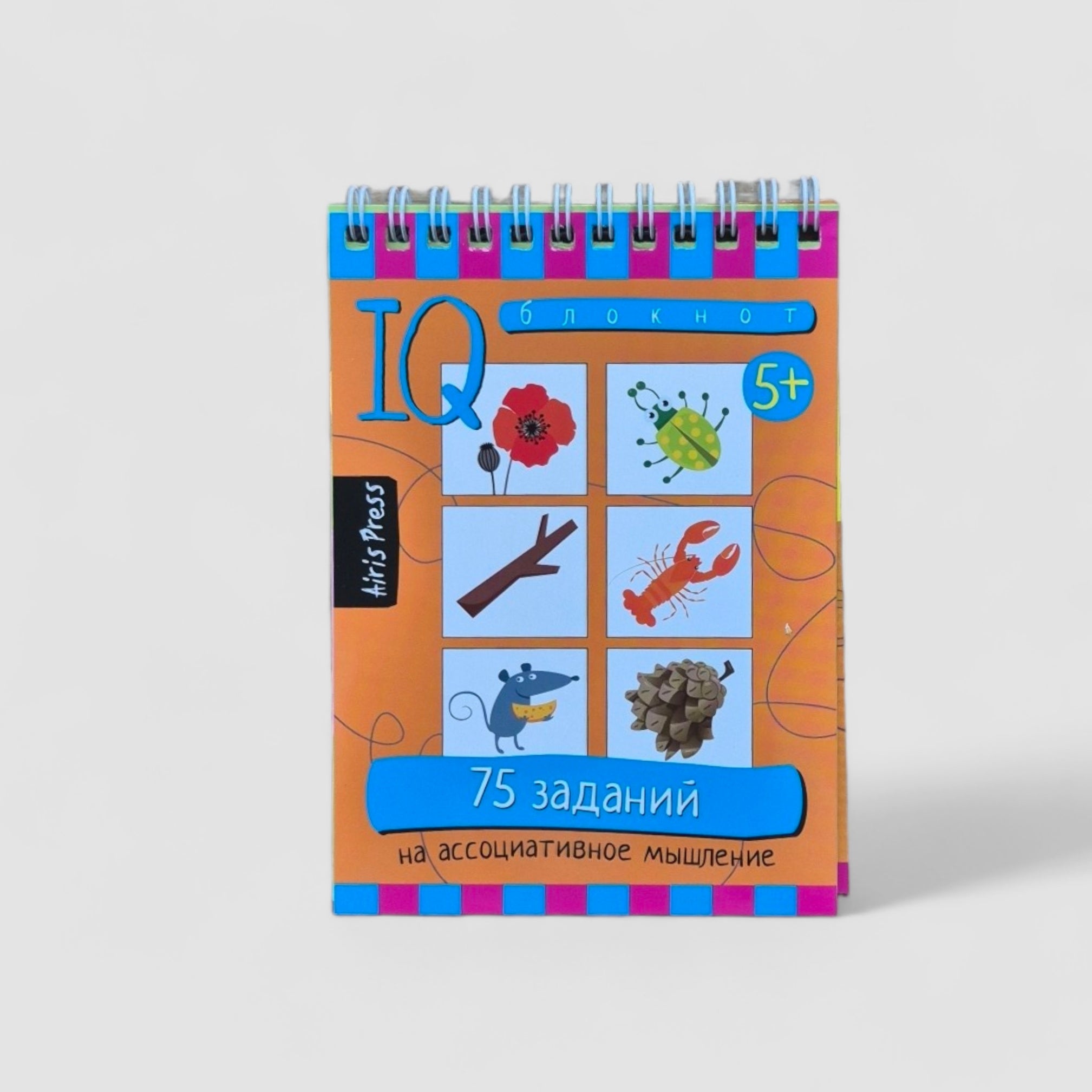 IQ notebook (5+). 75 tasks for associative thinking