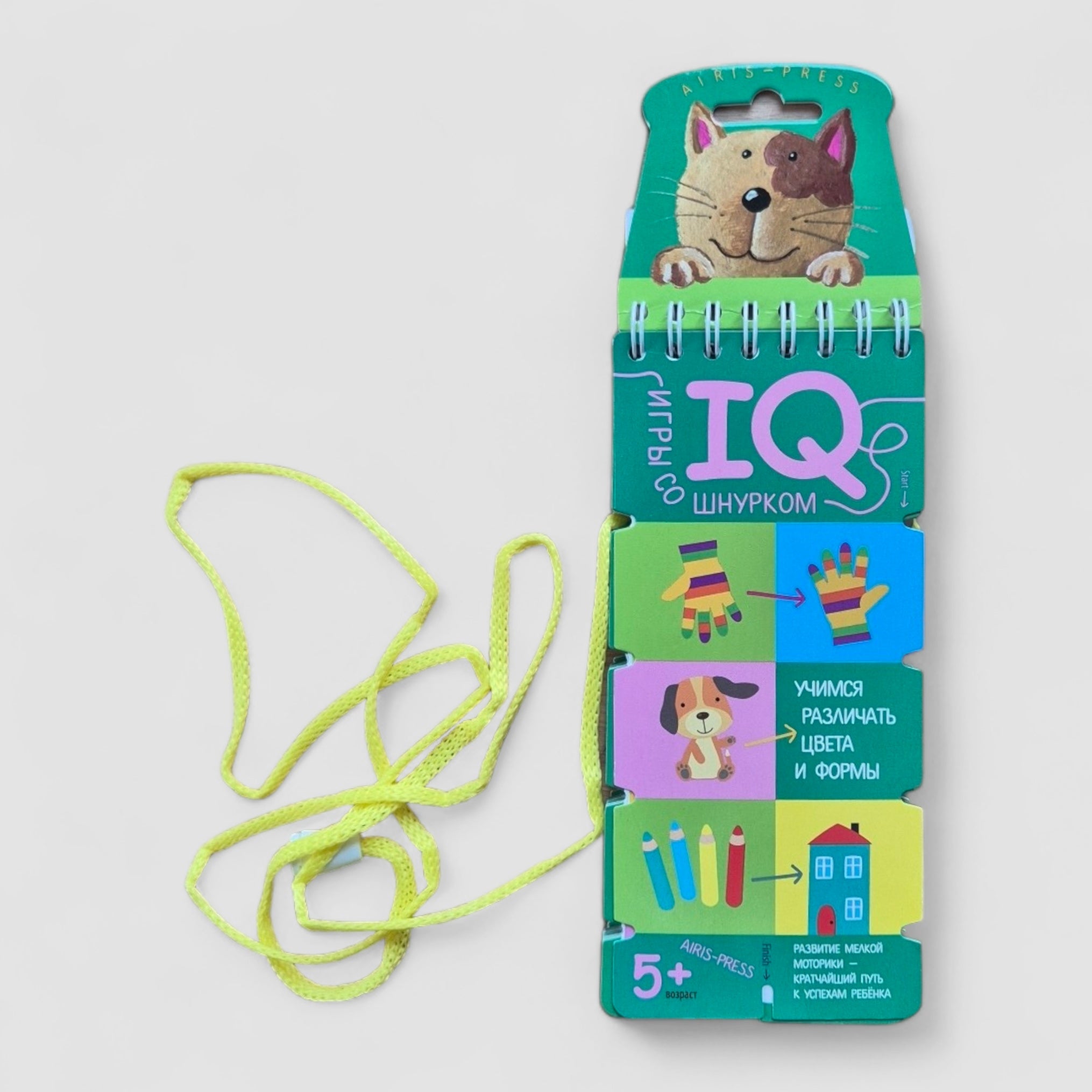 IQ игры со шнурком. Учимся различать цвета и формы