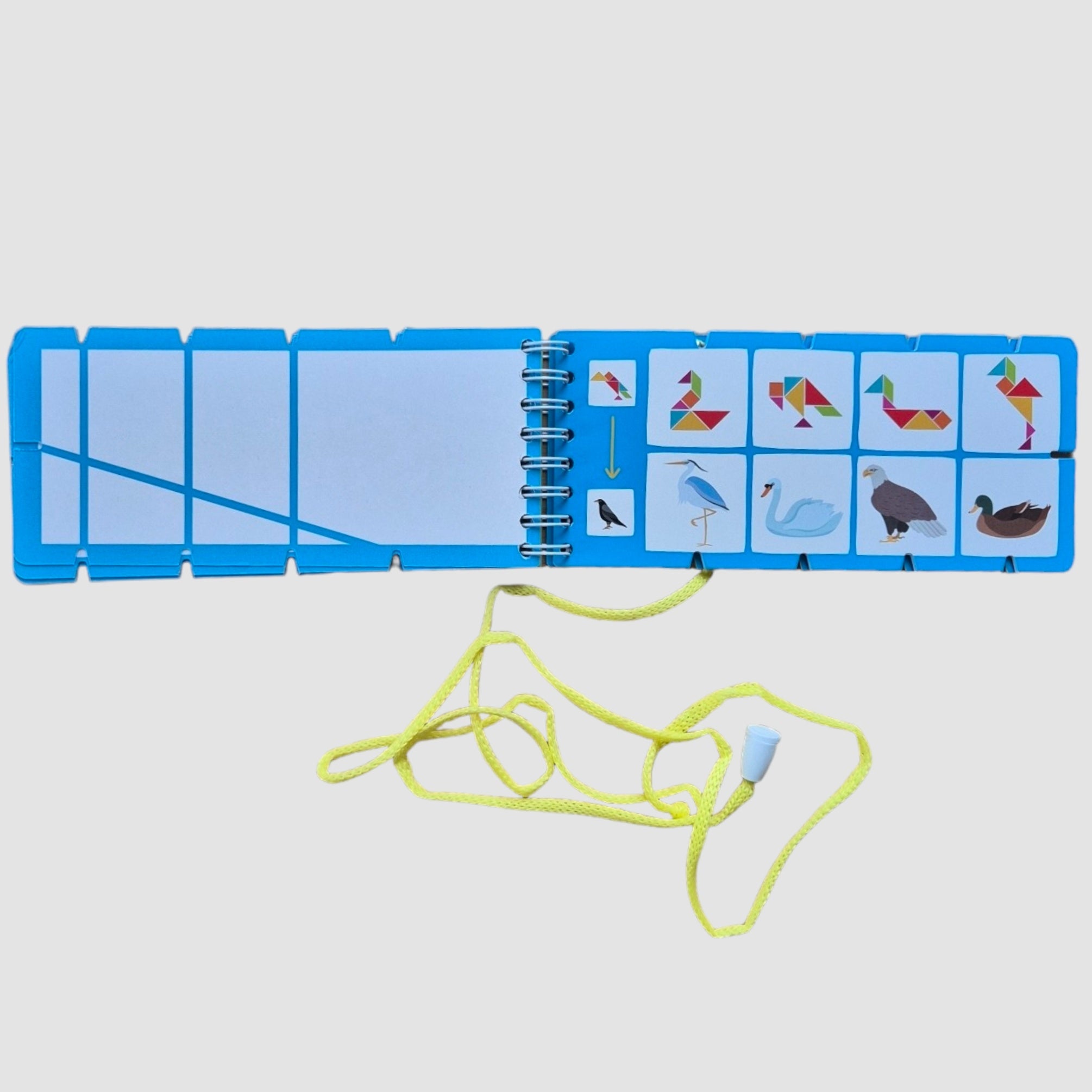 IQ games with a lace. Unusual animals