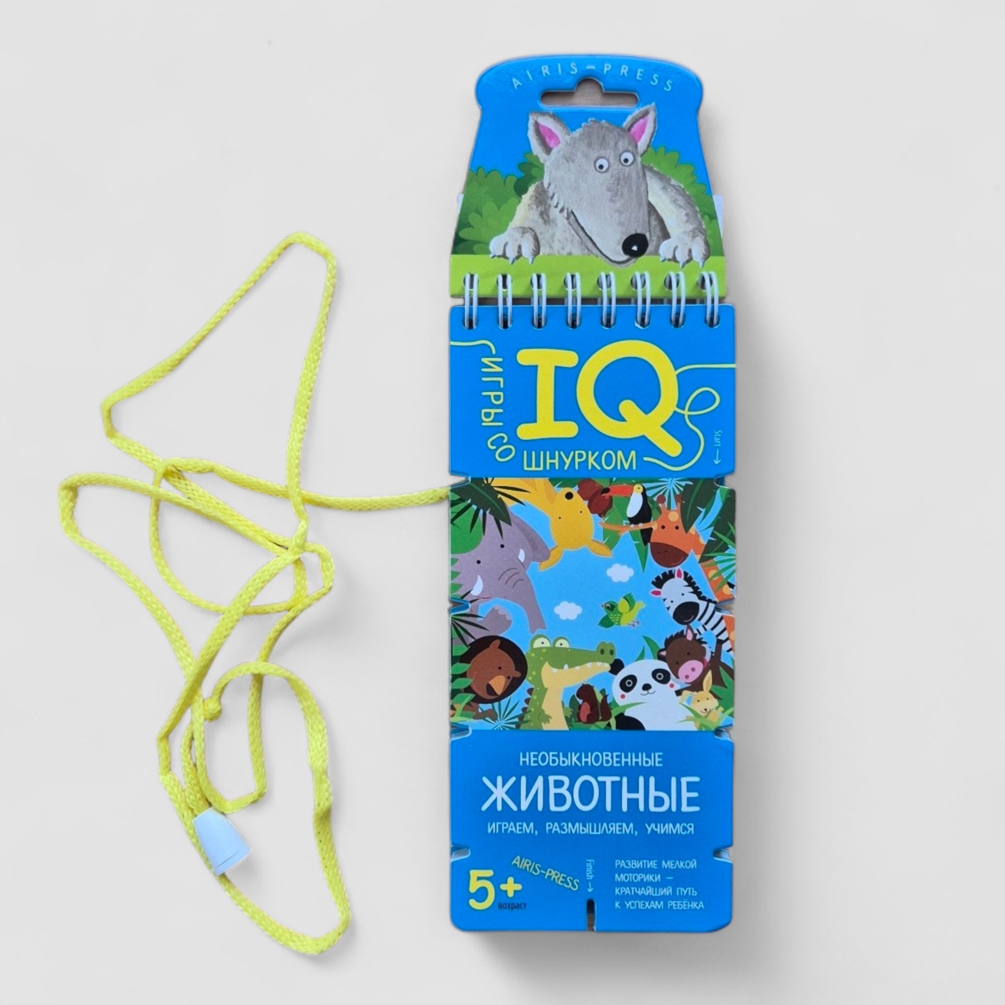 IQ games with a lace. Unusual animals