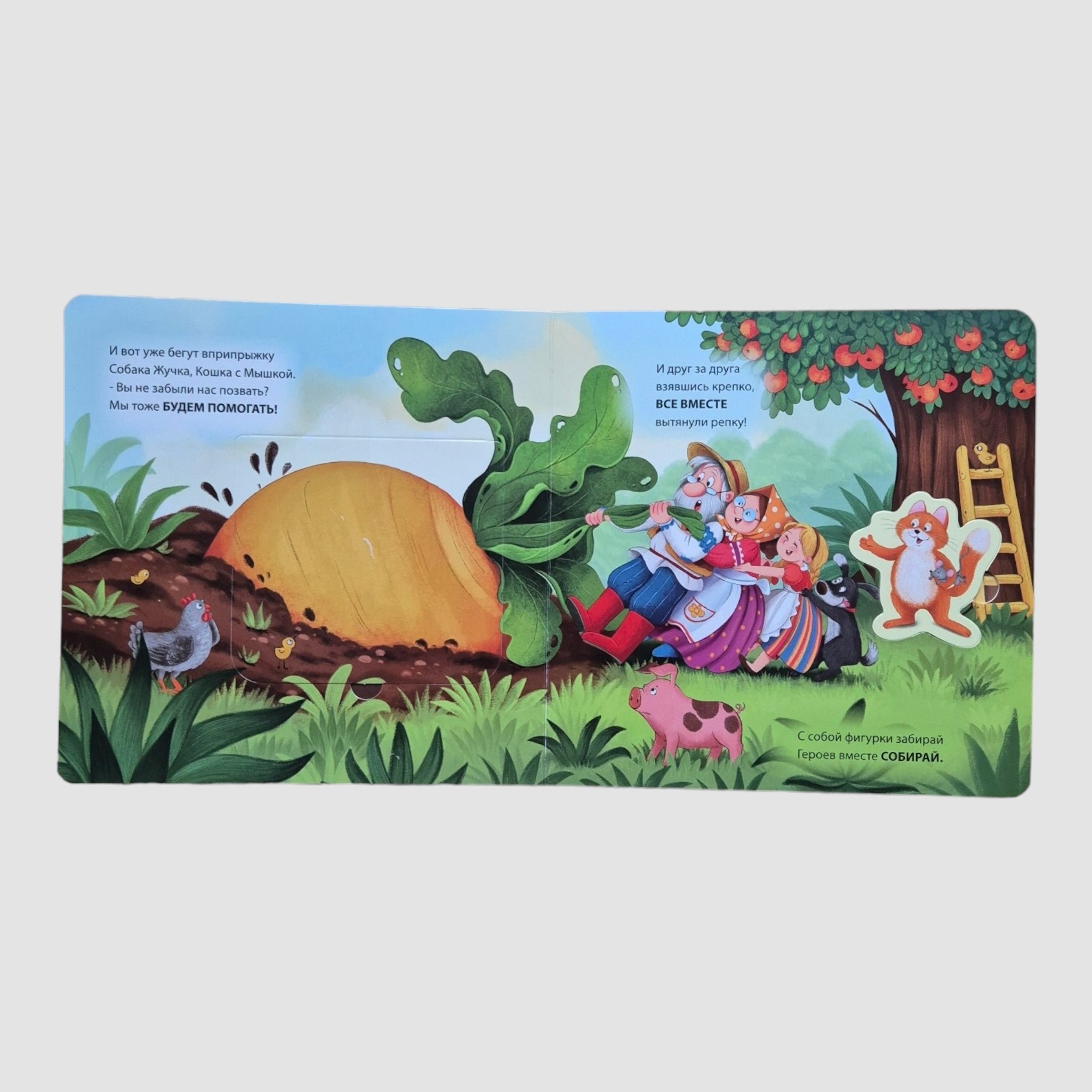 Репка (Книга-сортер с окошками)