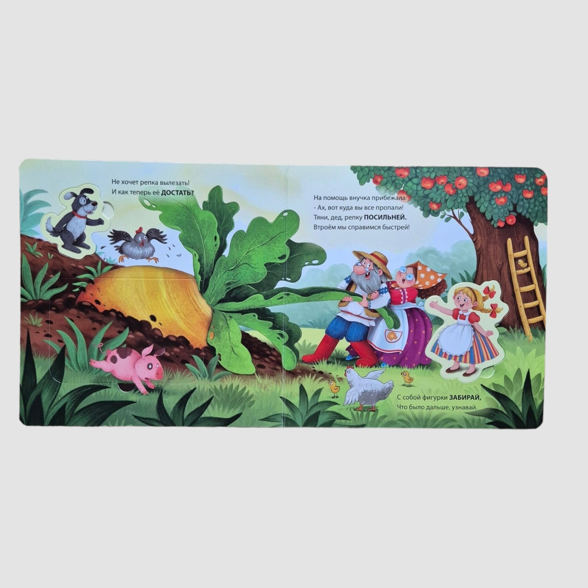 Репка (Книга-сортер с окошками)