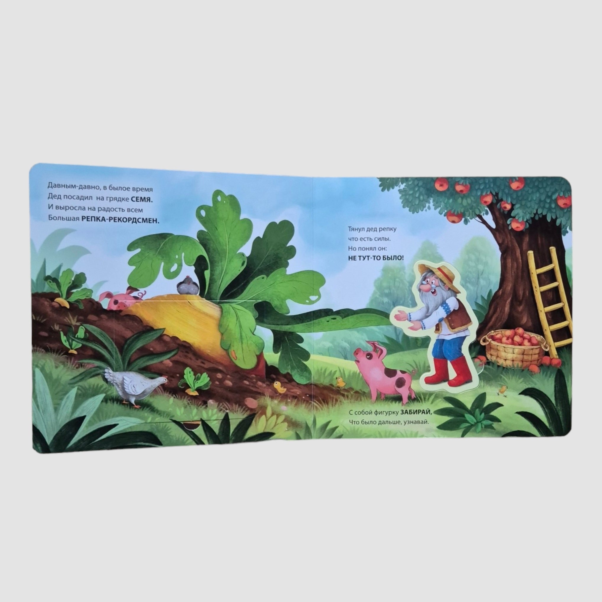 Репка (Книга-сортер с окошками)
