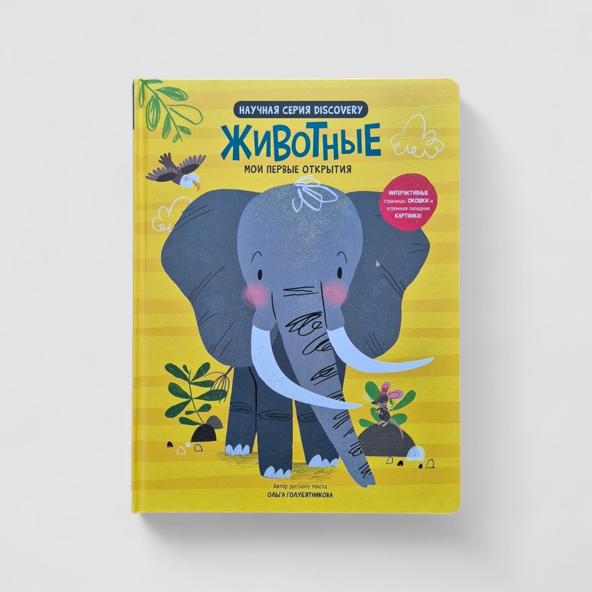 Животные. Мои первые открытия