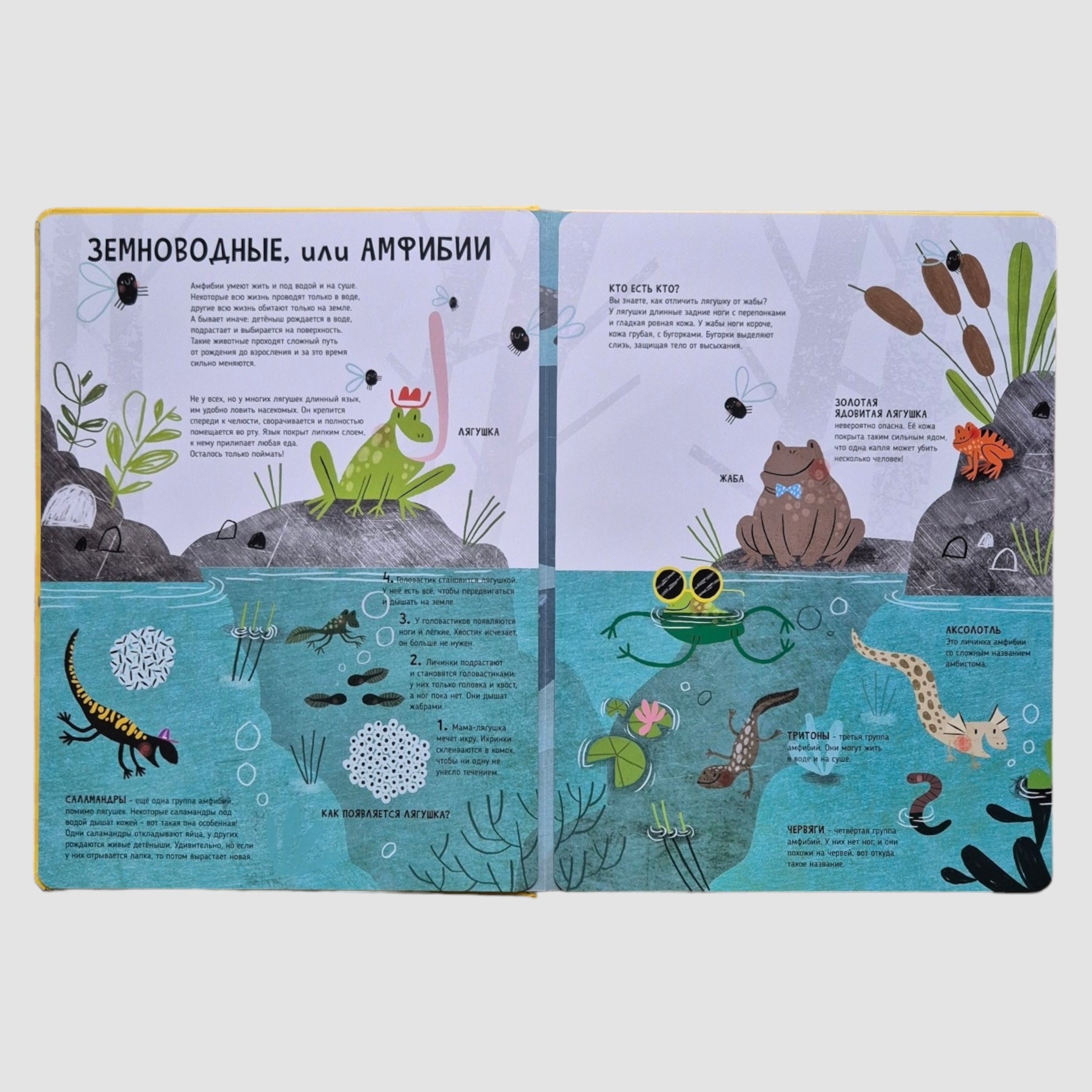 Животные. Мои первые открытия